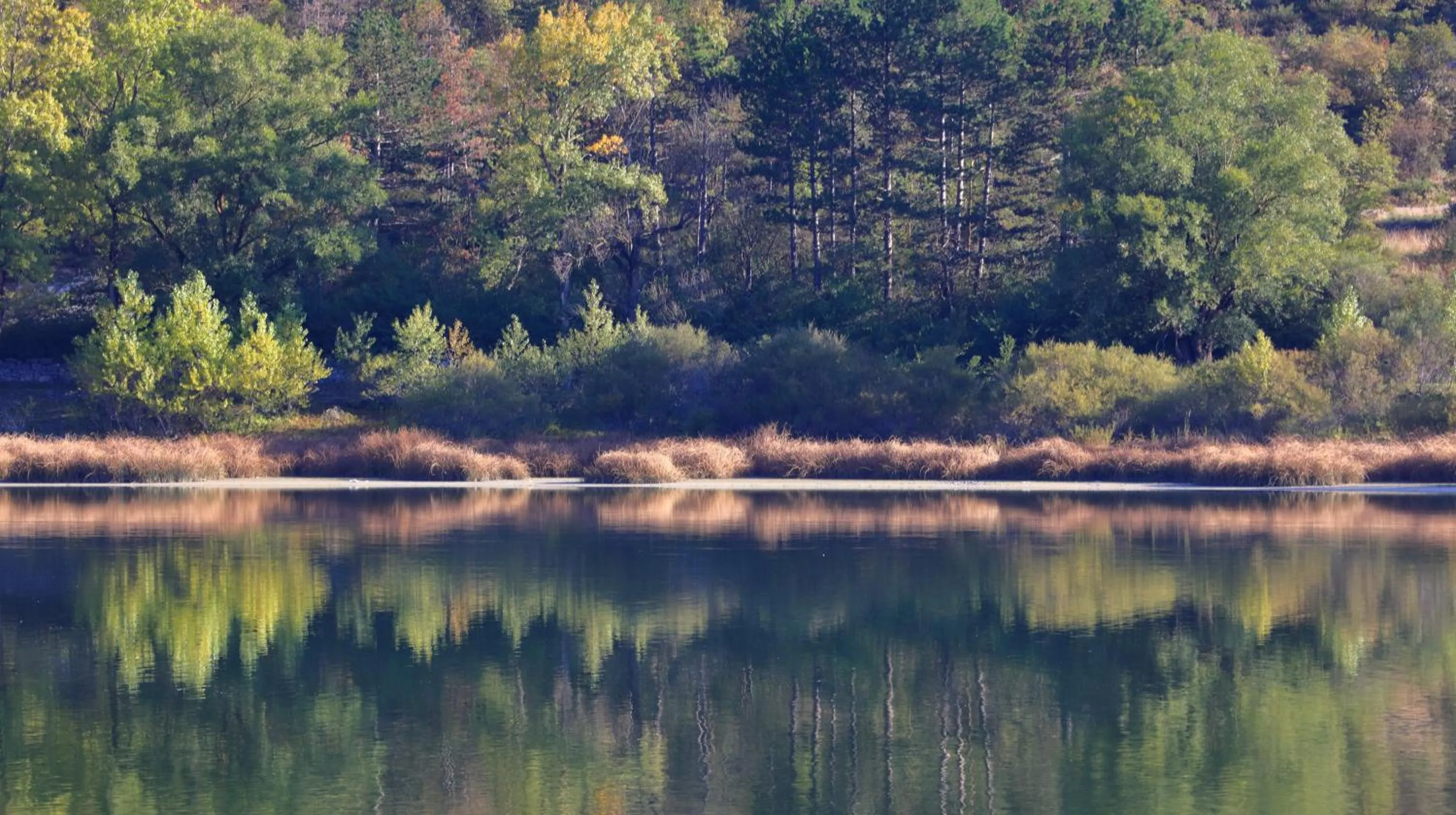 Autumn in Hotel Lilla'