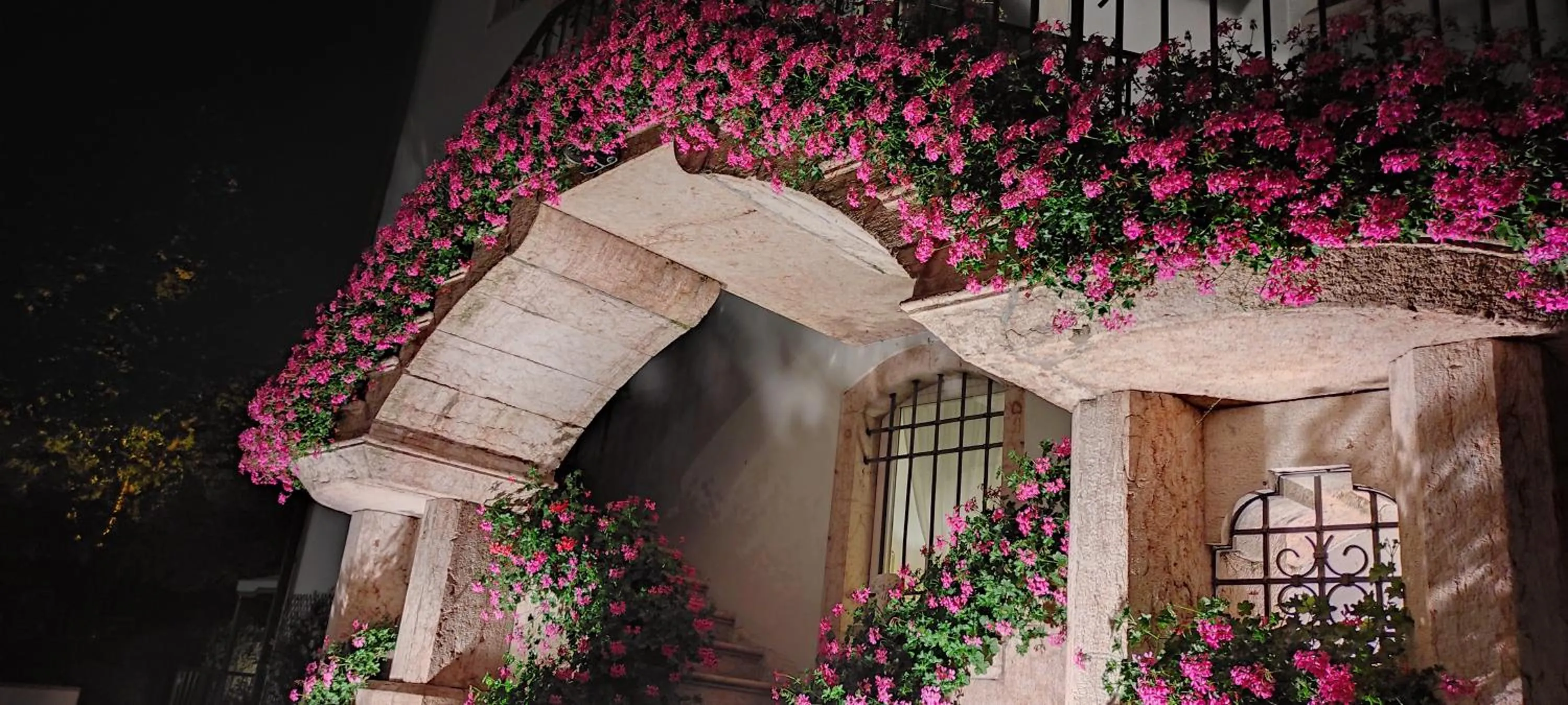 Garden in Hotel Lilla'