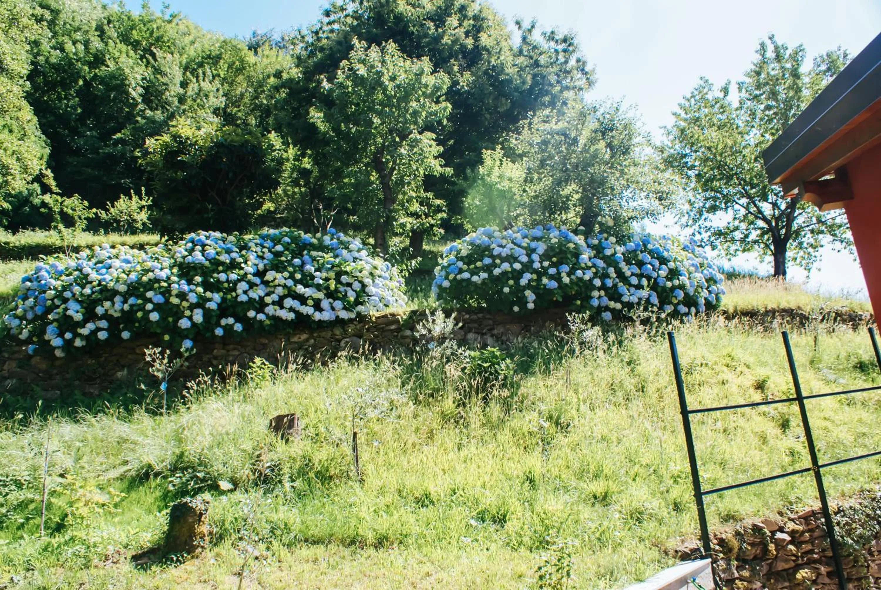 Valle dei Mulini - Lake Como