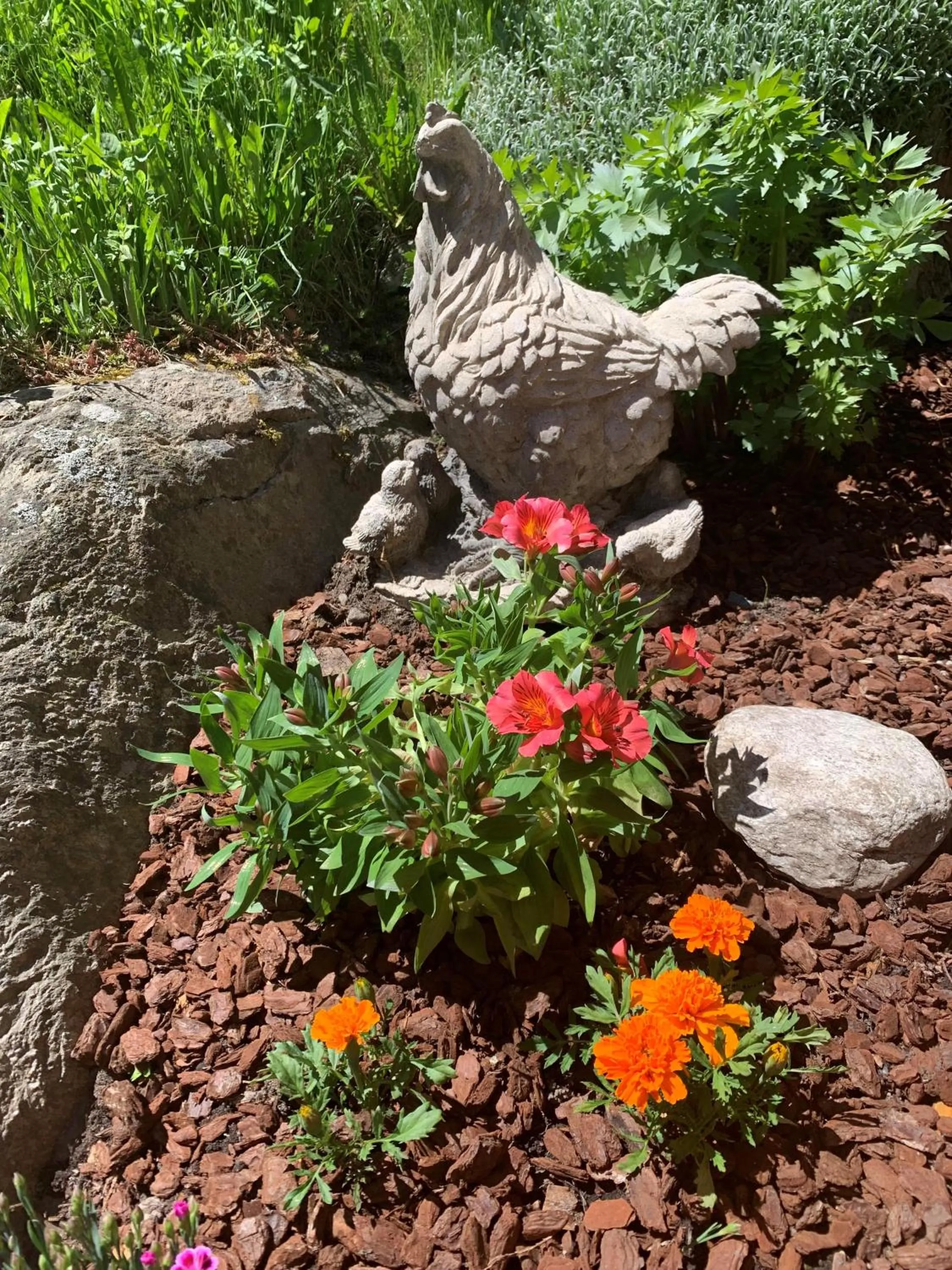 Property building in Alpenblick