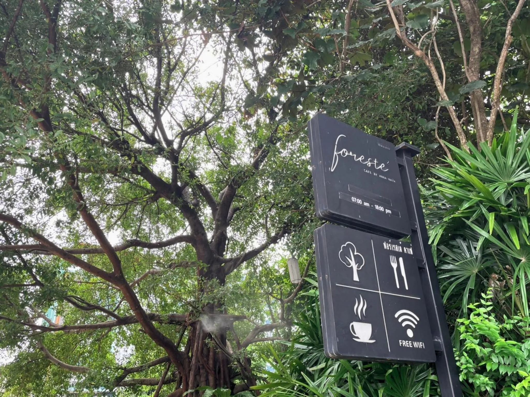 Restaurant/places to eat in Anna-Nava Pakkret Hotel