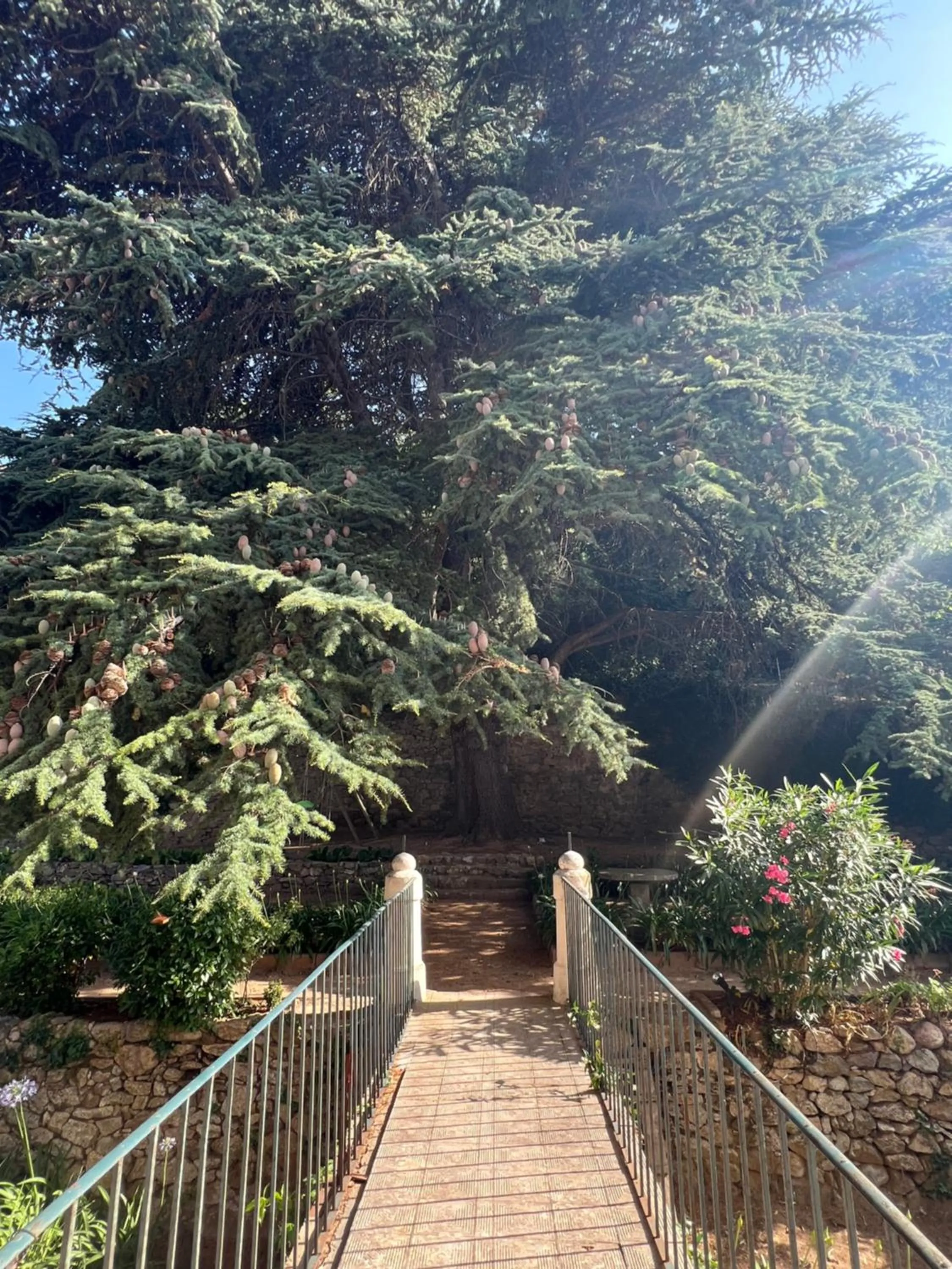 Mare E Monti - Hôtel de Charme