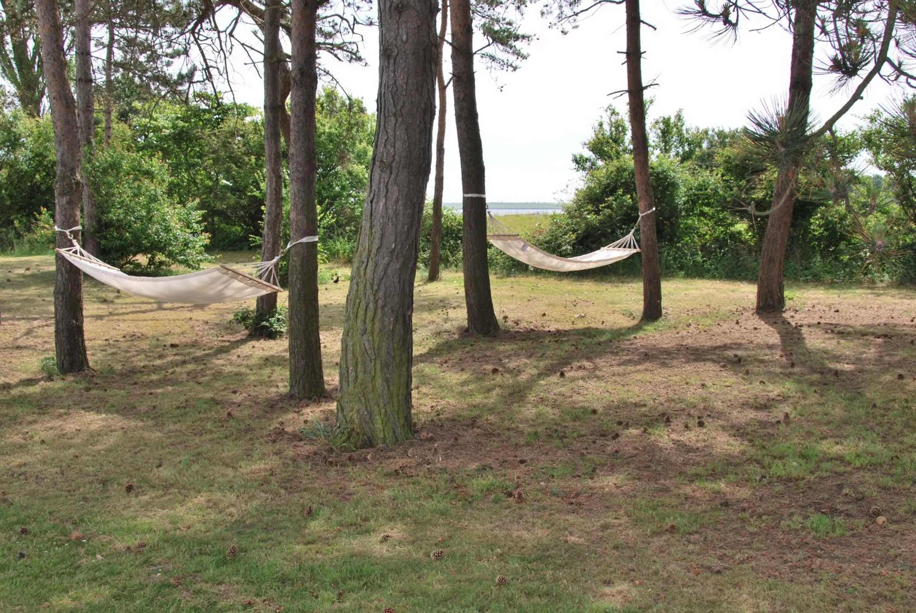 Garden in Storebælt Sinatur Hotel & Konference