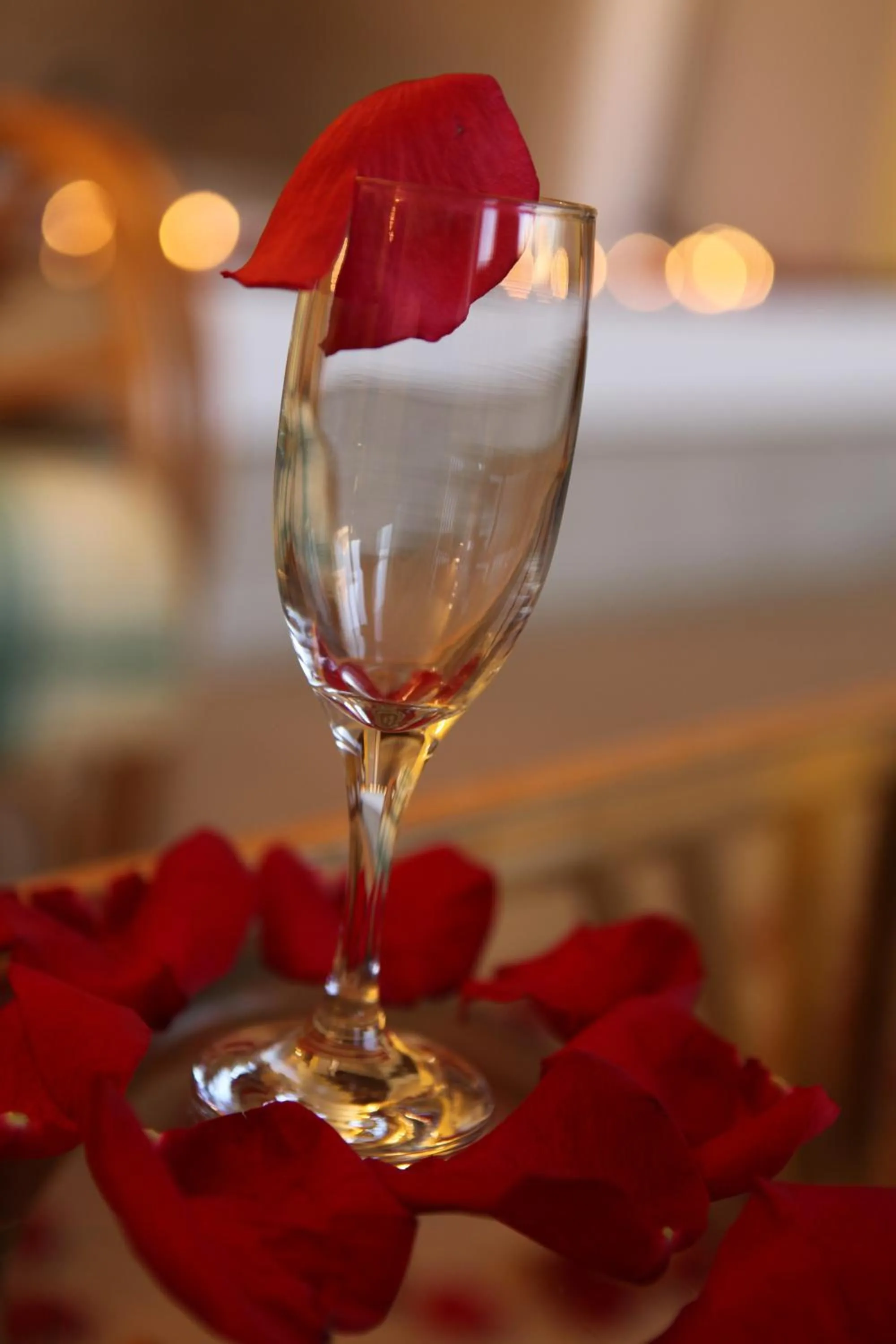 Decorative detail in Hotel Central