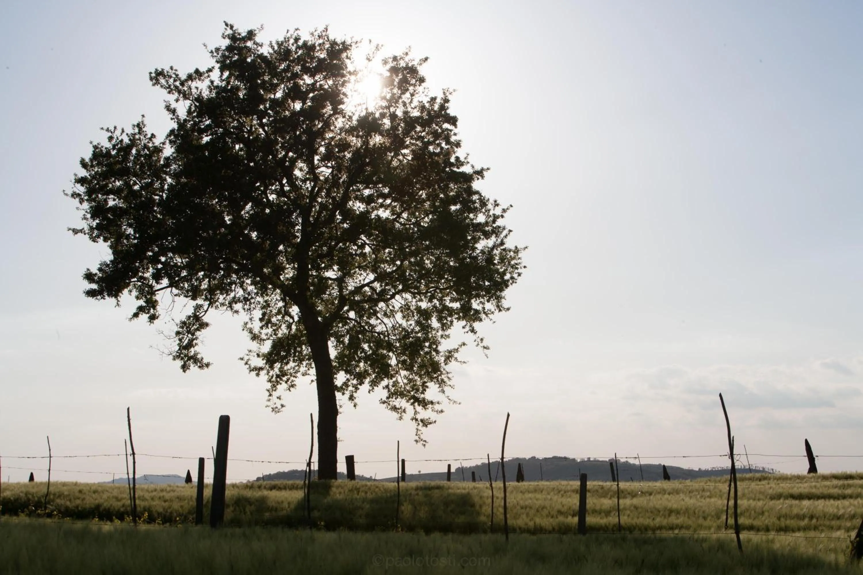 Nearby landmark in Hotel Palazzo Brunamonti