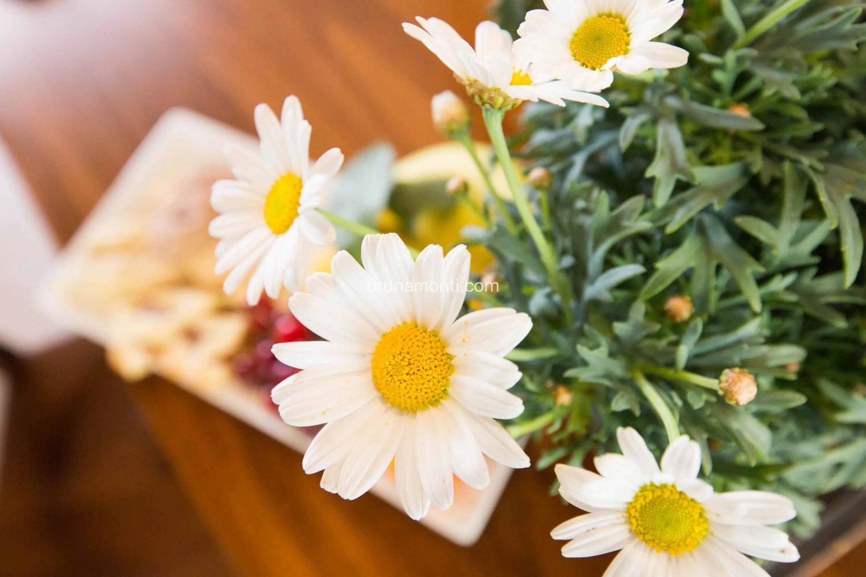 Spring in Hotel Palazzo Brunamonti