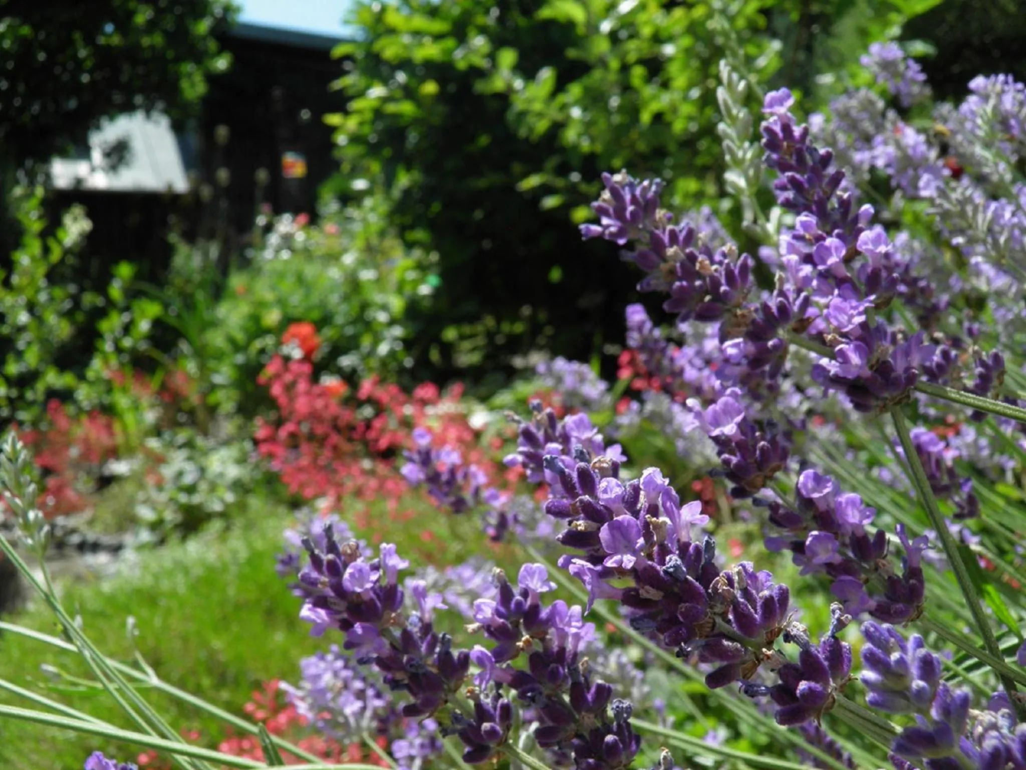 Other in B&B Brandholz