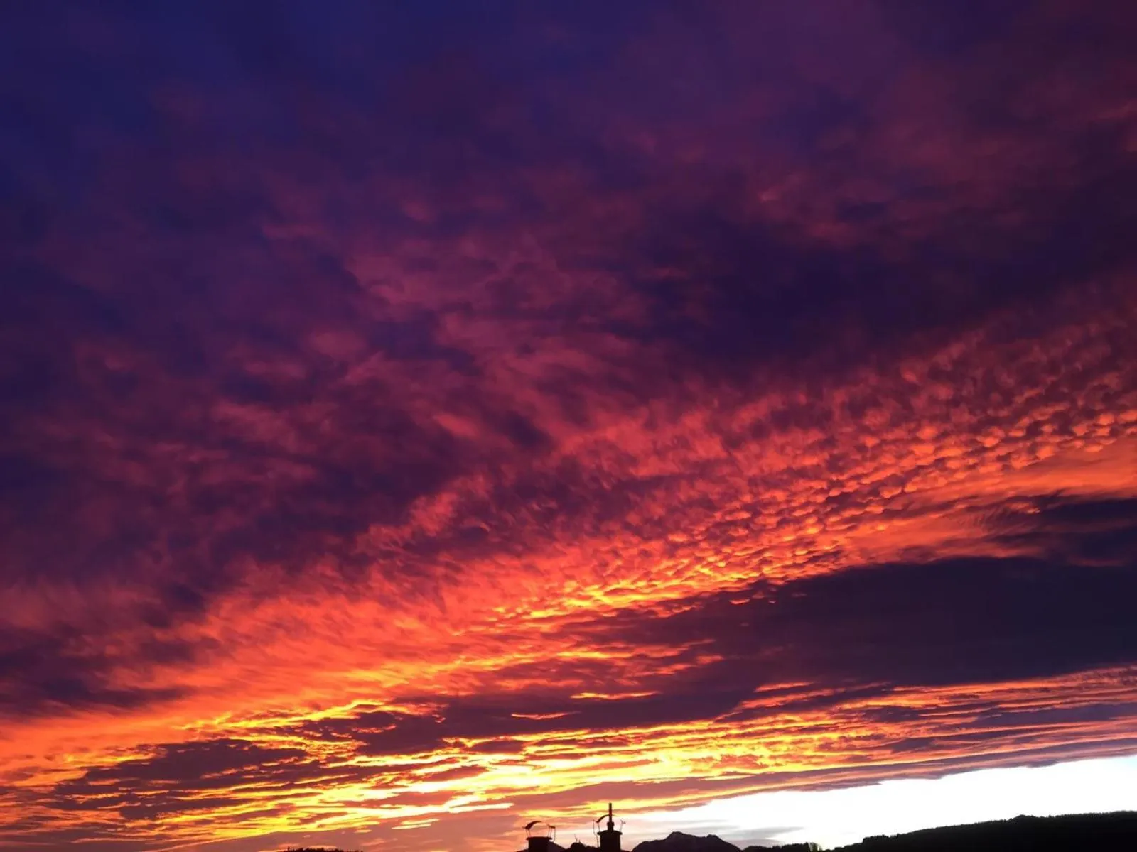 Natural landscape in Apparthotel Garni Superior Simsseeblick
