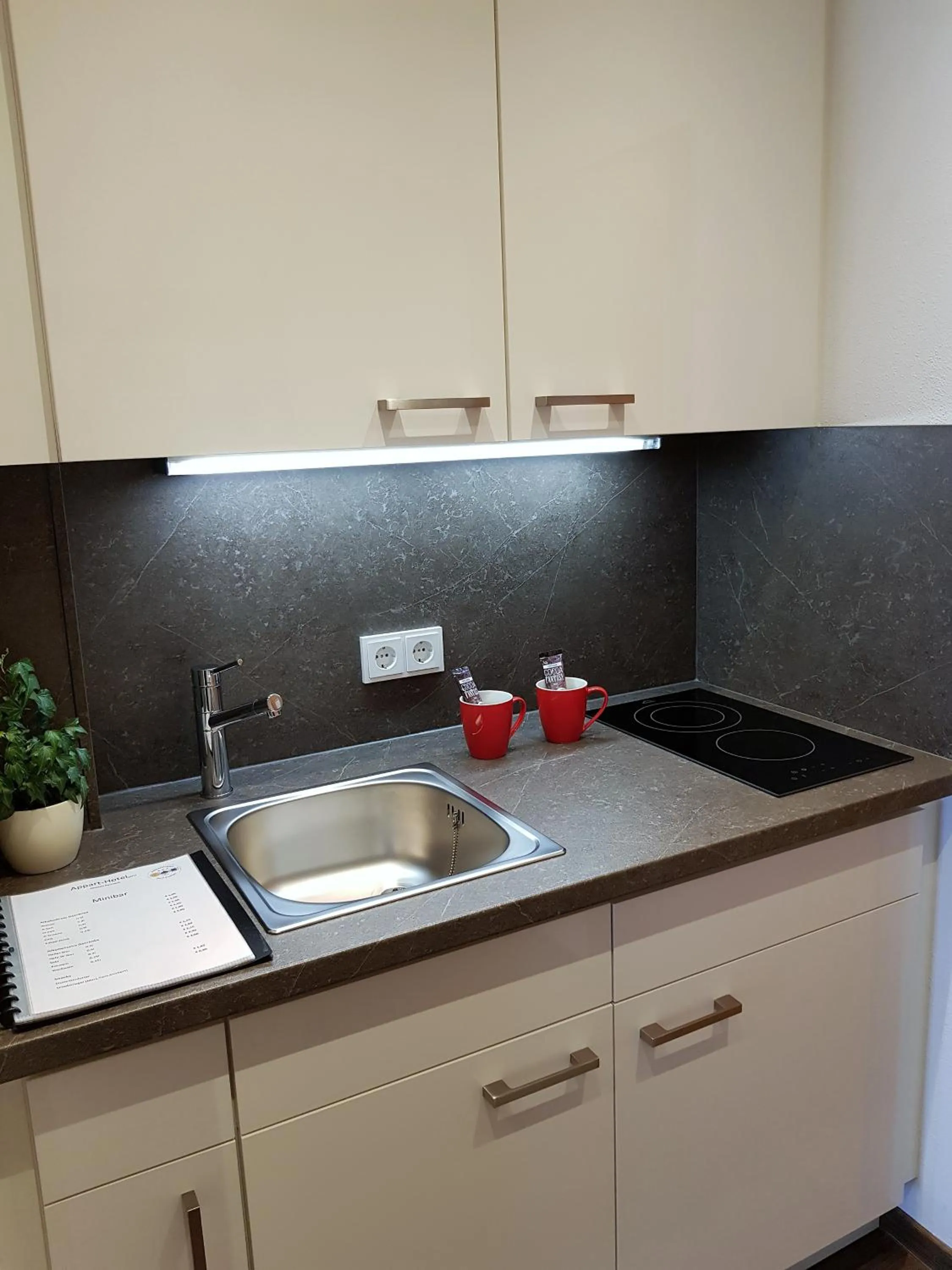 Kitchen or kitchenette in Apparthotel Garni Superior Simsseeblick