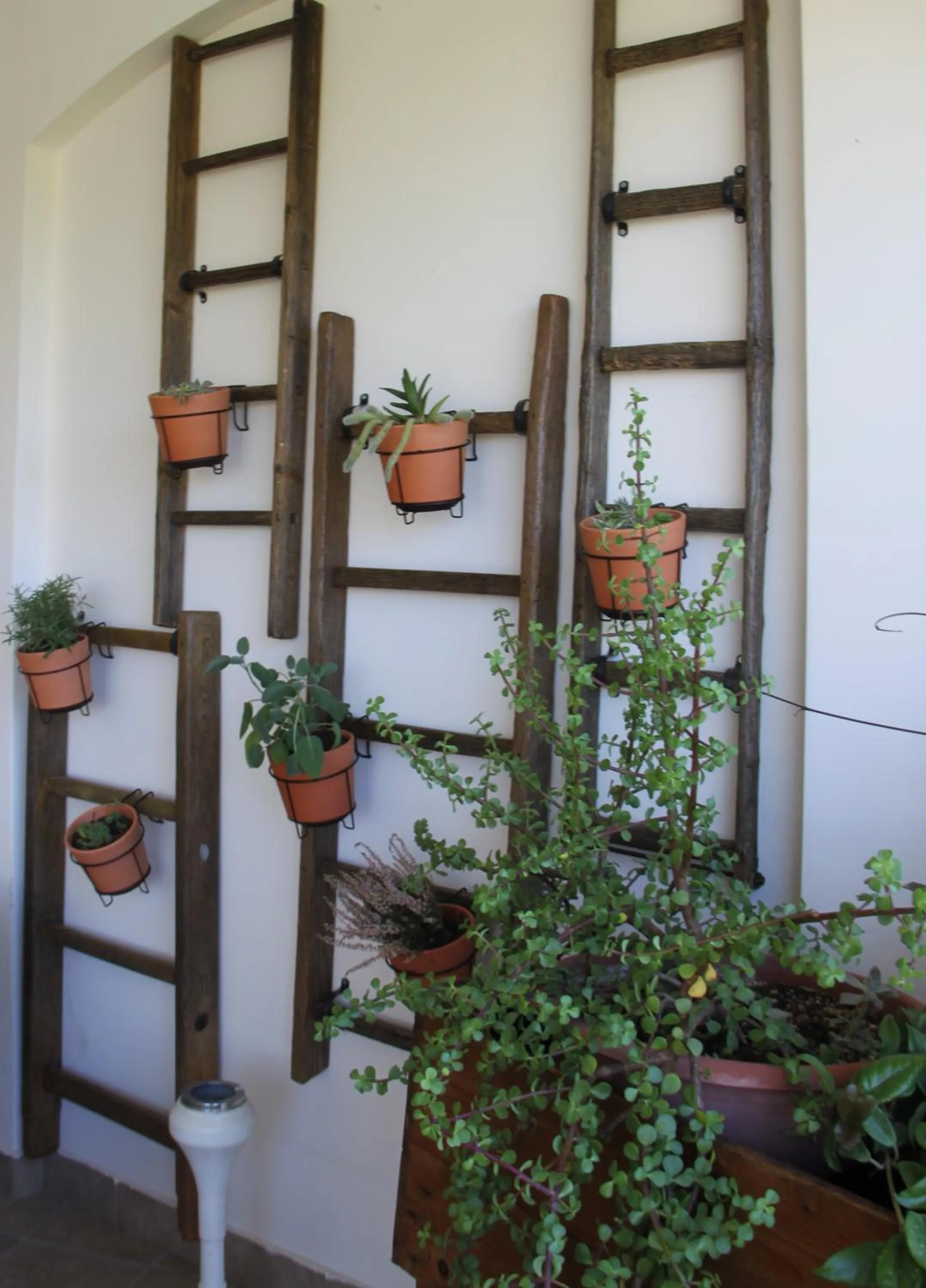 Garden in B&B Le Terrazze Lama Balice