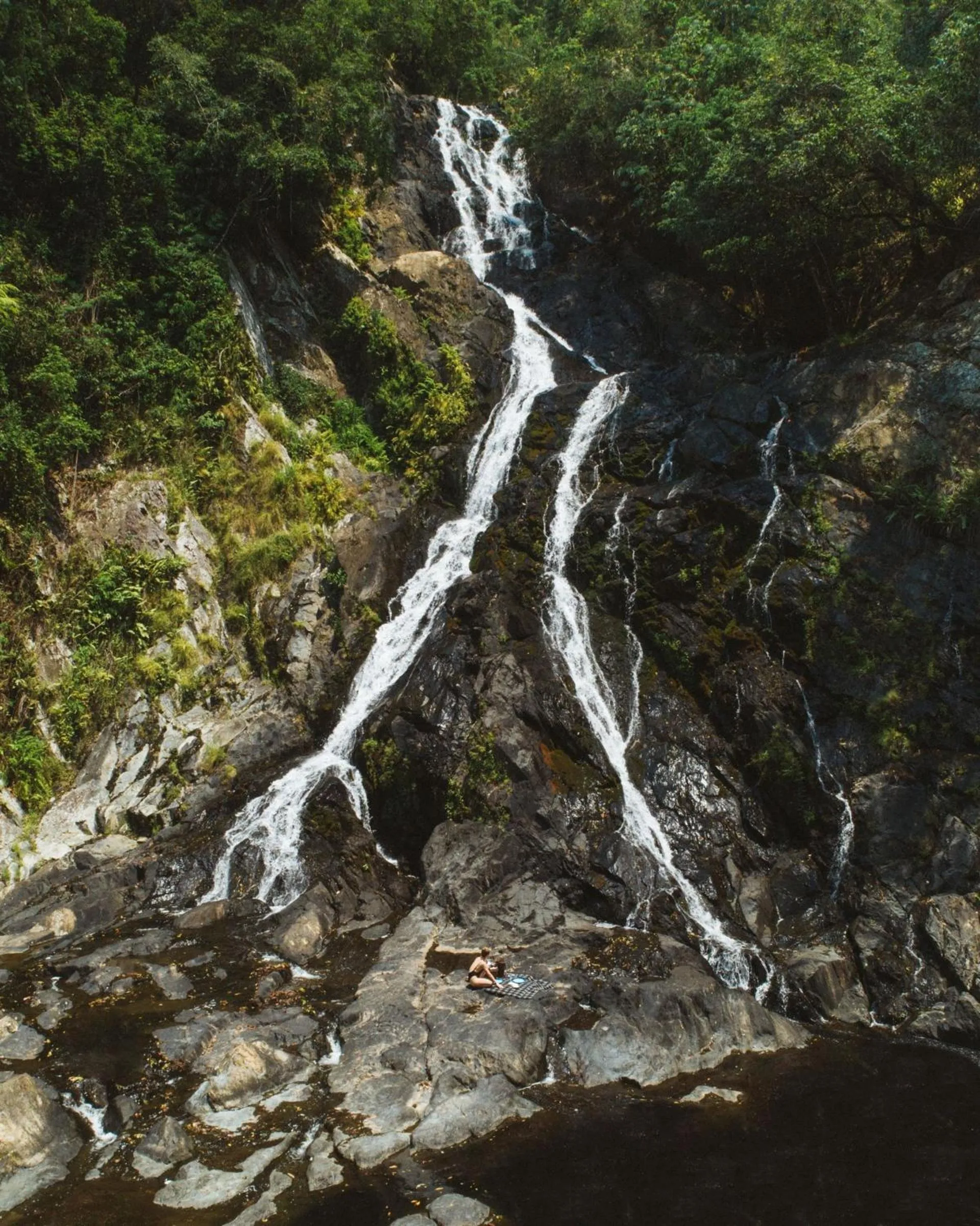 Natural landscape in Daintree Ecolodge