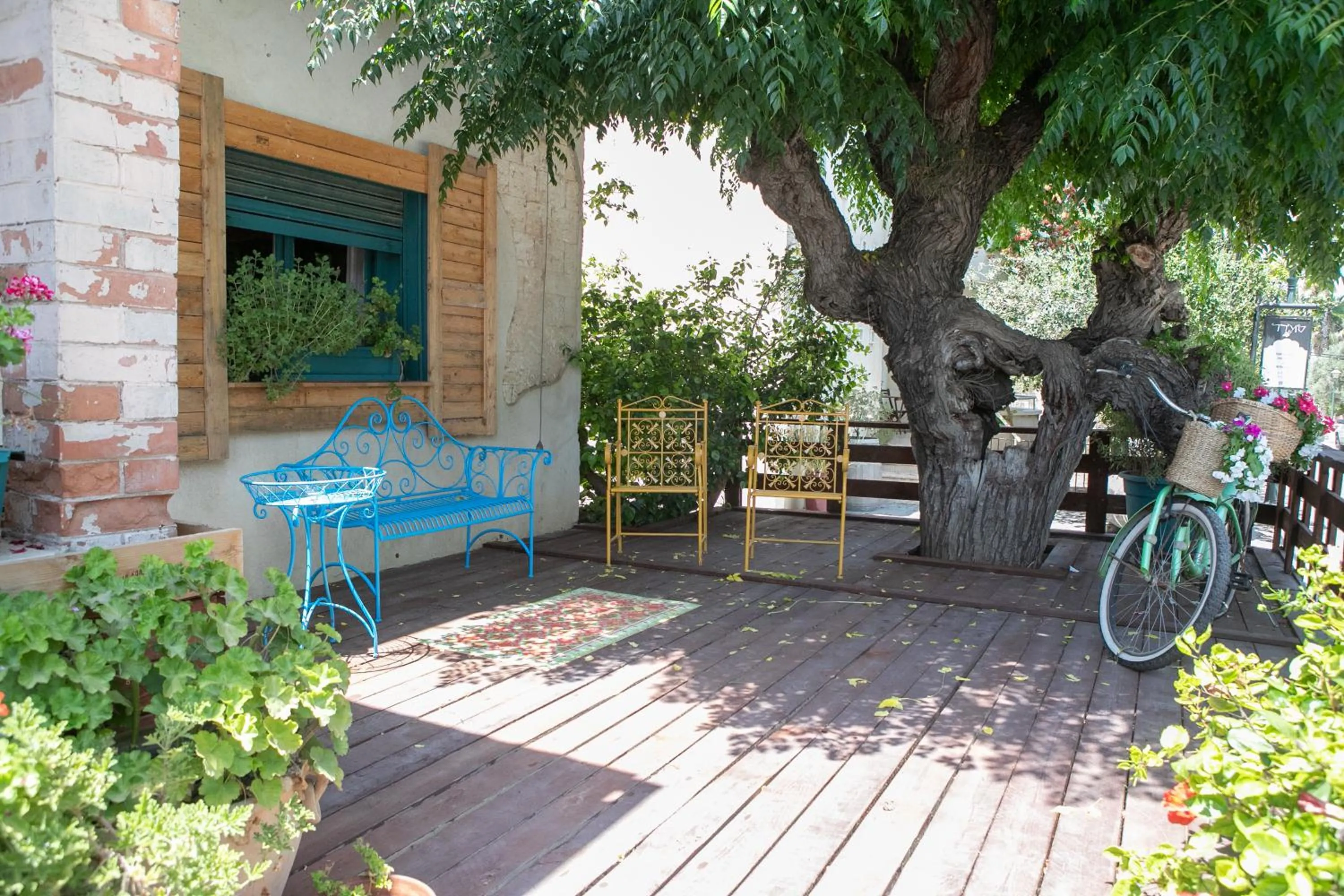 Patio in Zimeroni