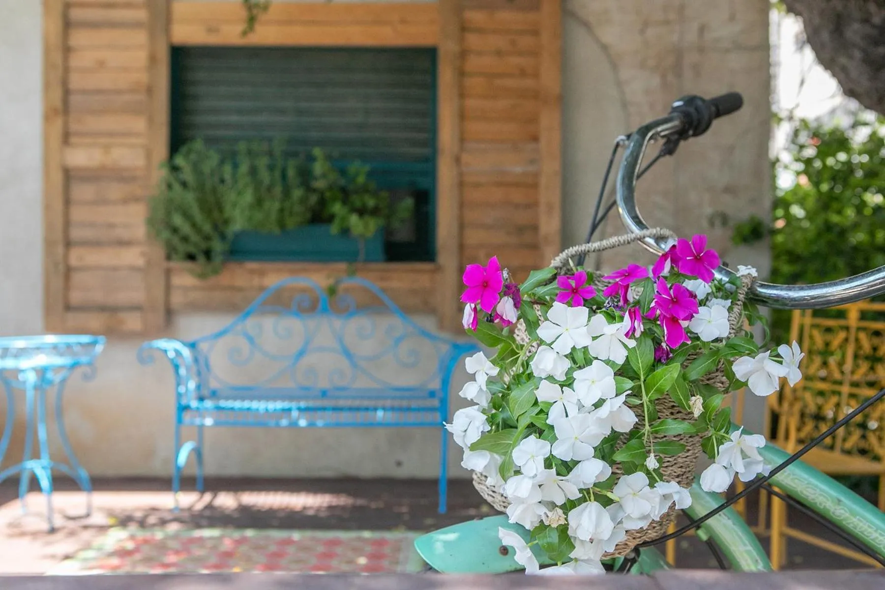 Patio in Zimeroni