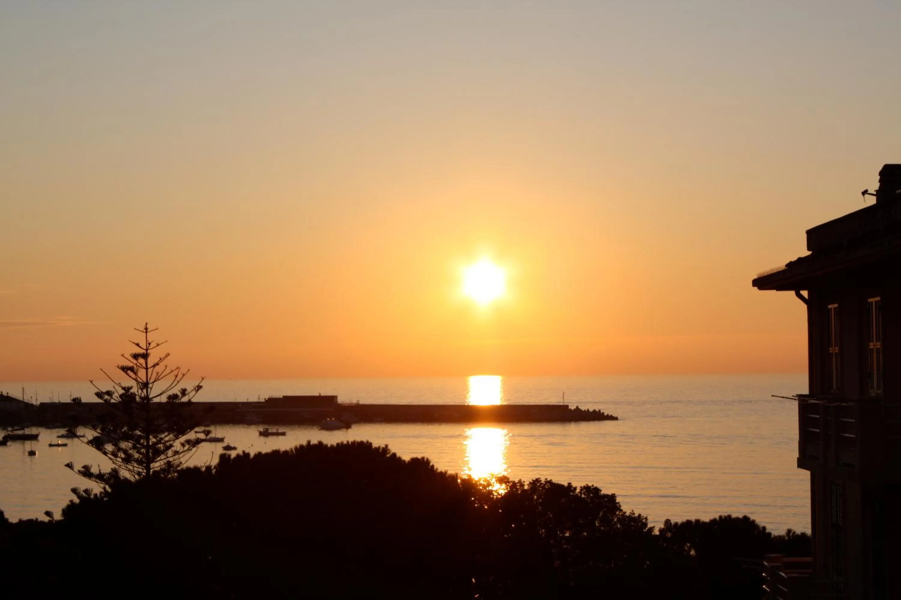 Balcony/Terrace in Hotel Genova