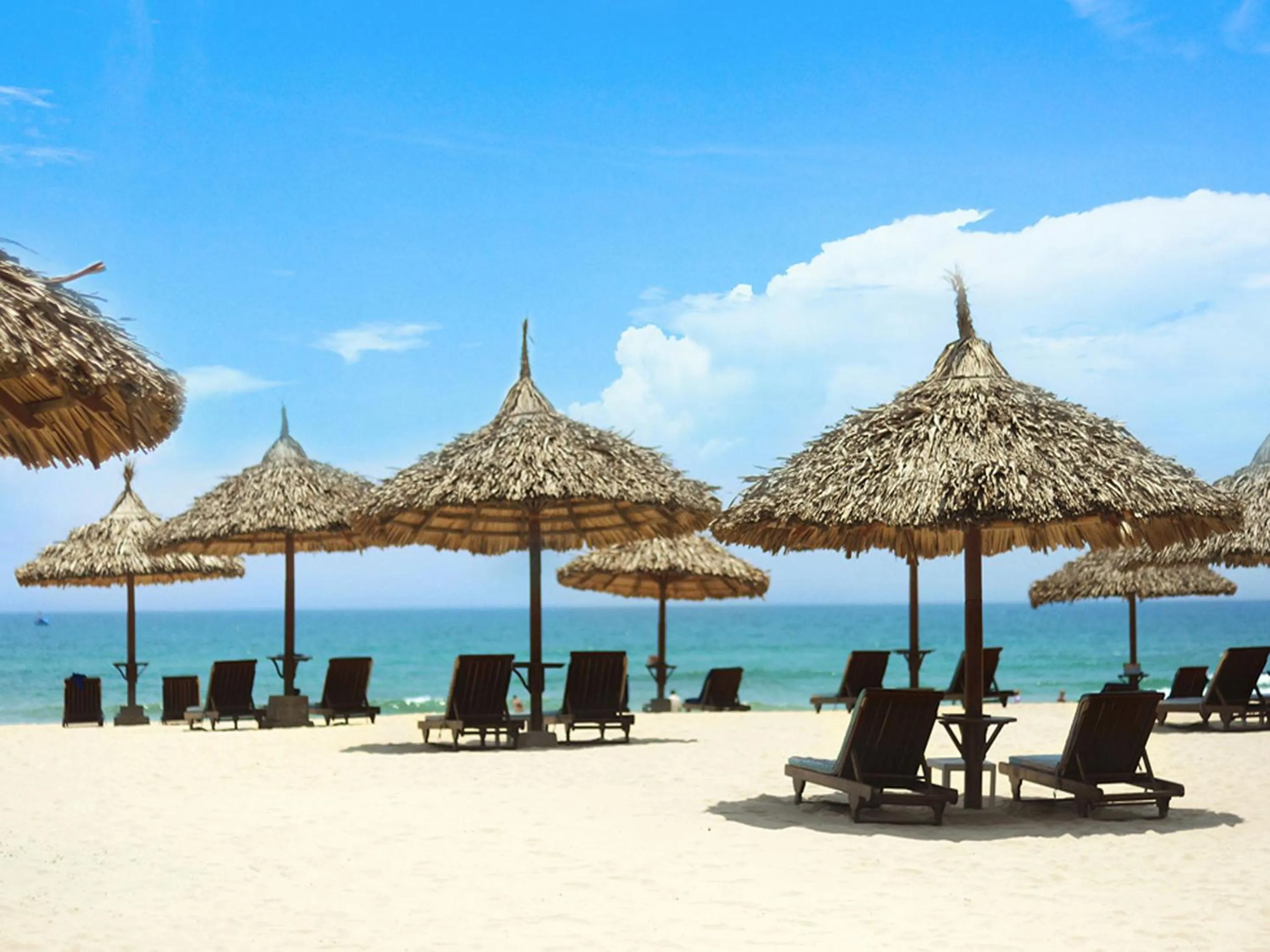 Spring in Furama Resort Danang