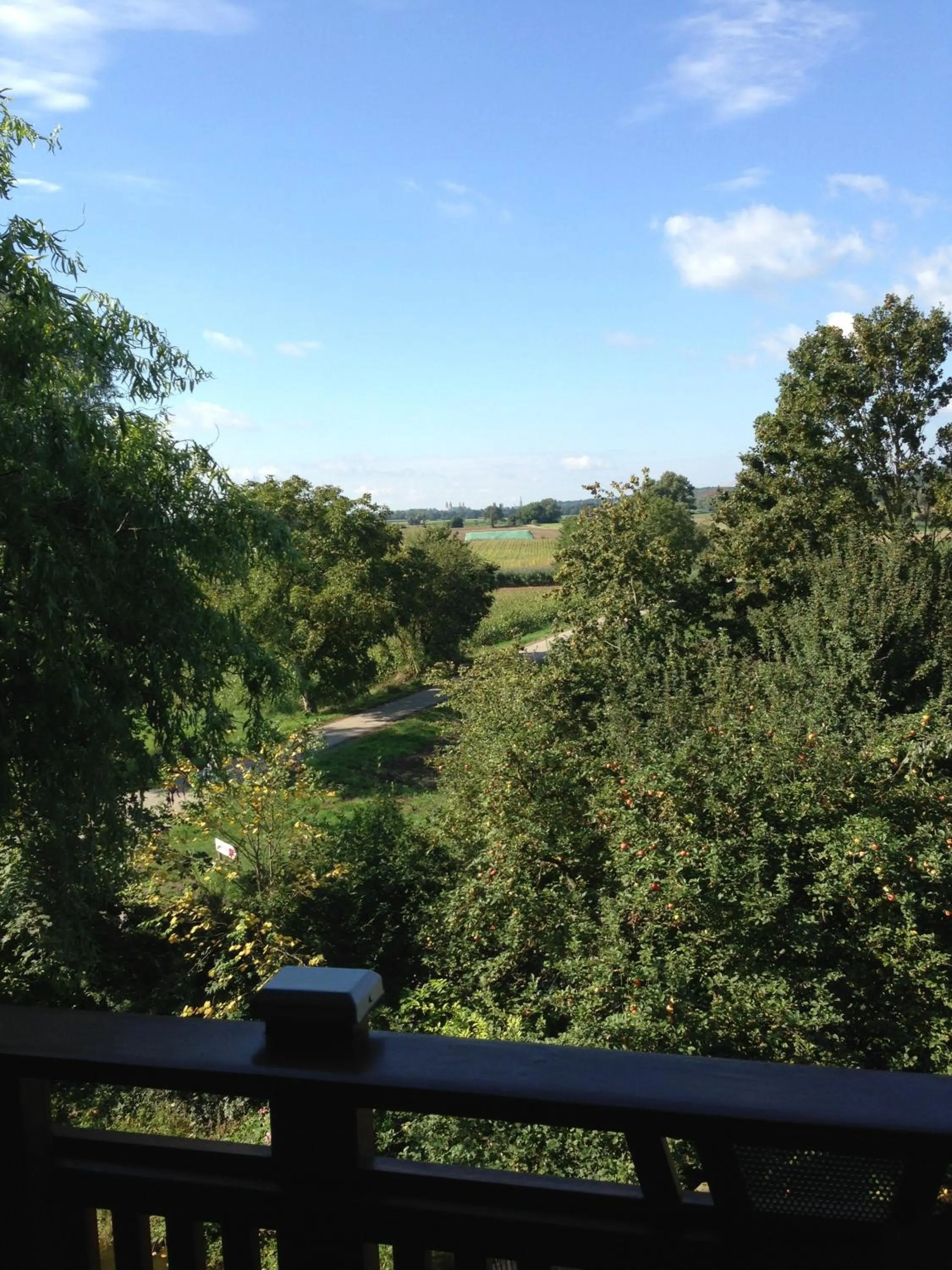 Double Room - single occupancy in Johanneshof Gästehaus