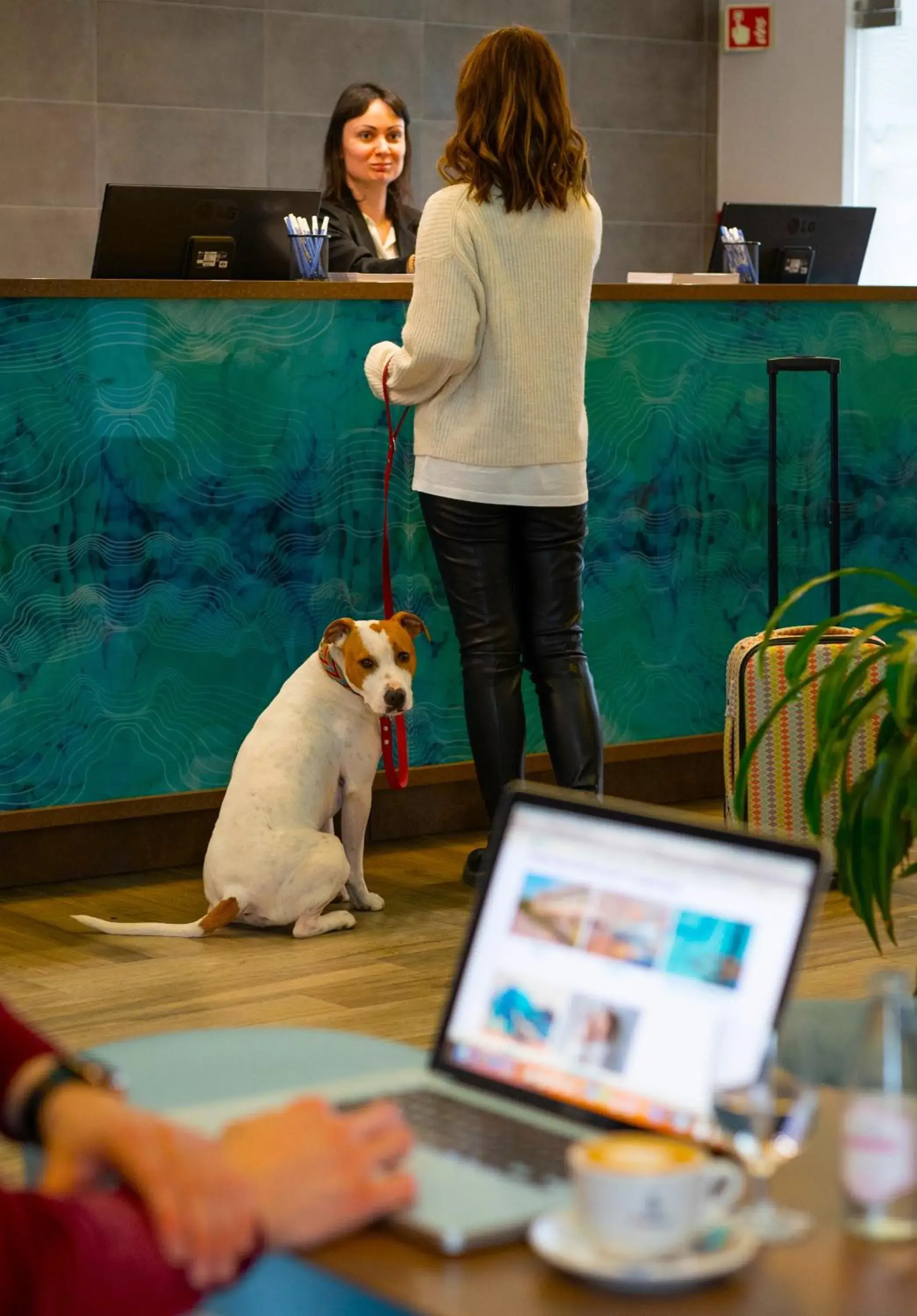 Lobby or reception in Akadémia Hotel Lobby or reception in Akadémia Hotel