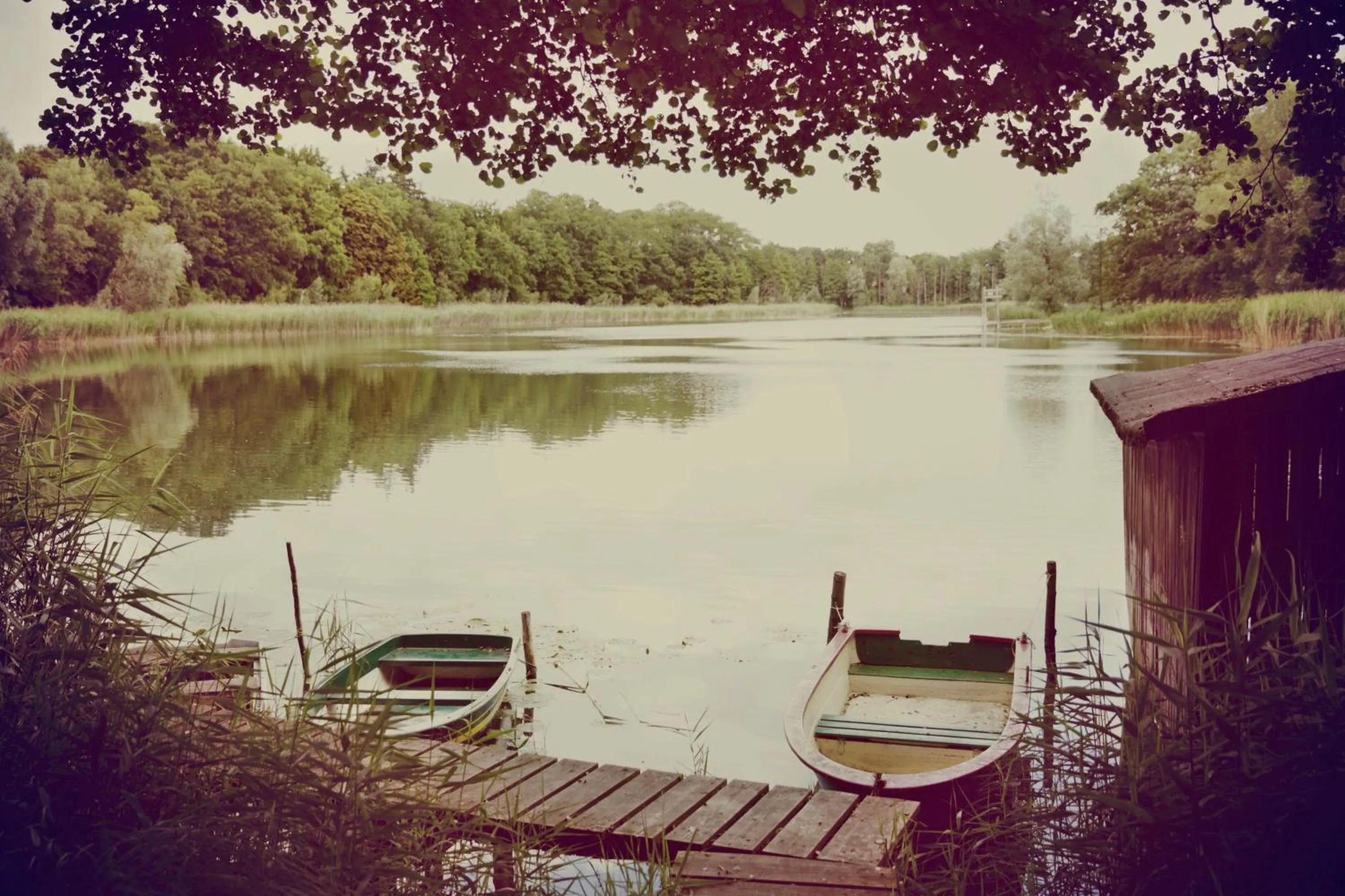 Natural landscape in Romantik Hotel Schloss Reichenow
