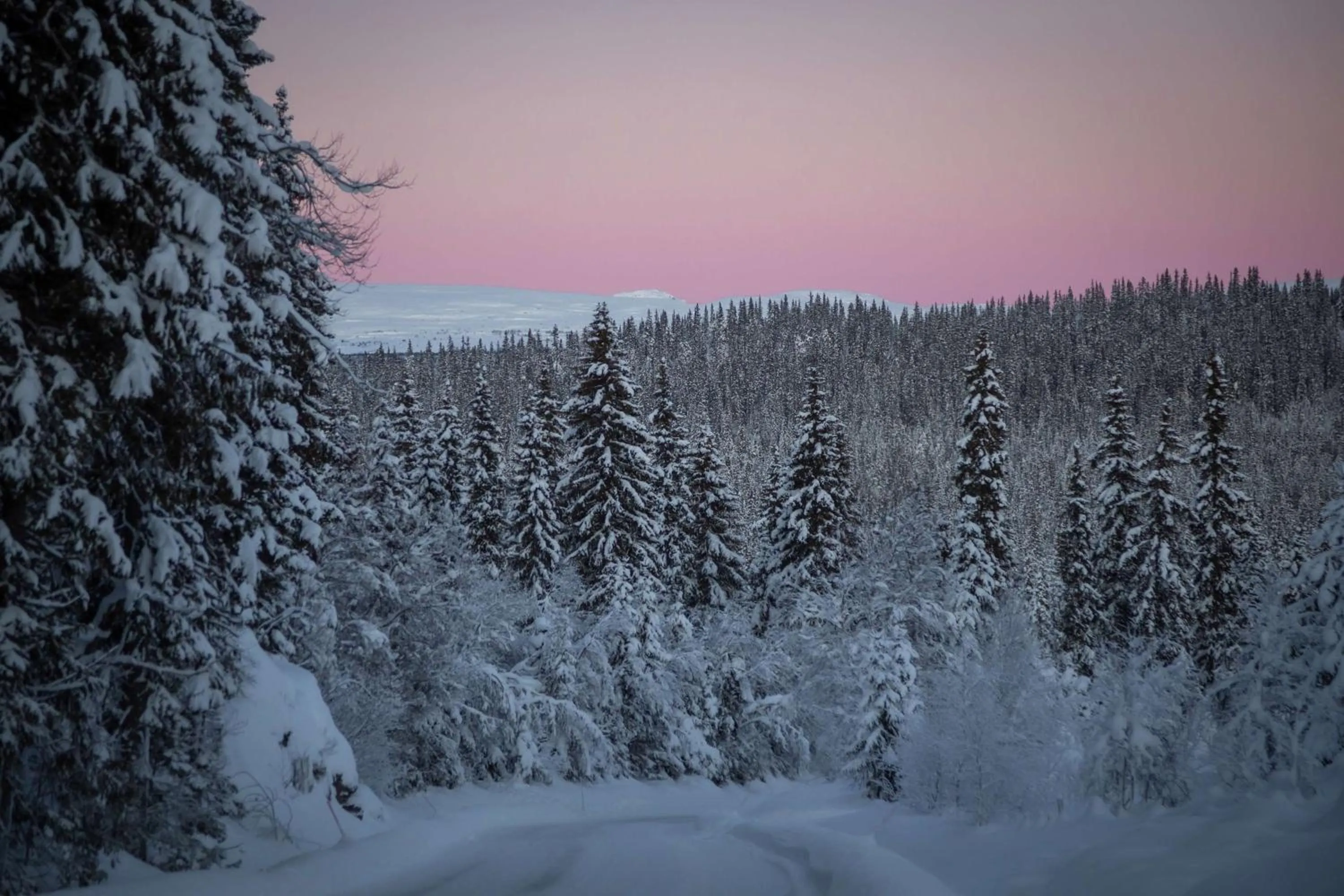 Sports in Radisson Blu Resort, Beitostølen