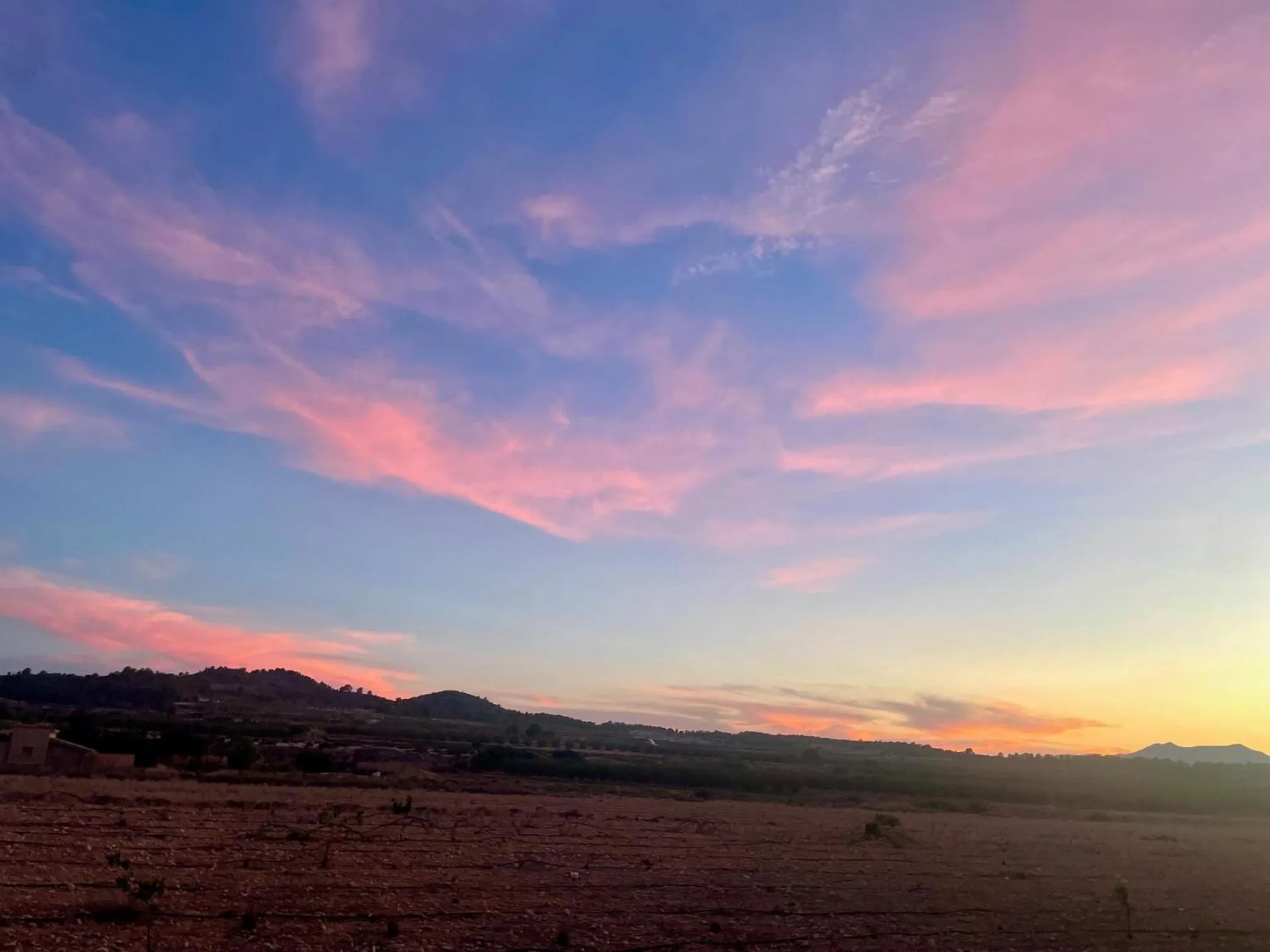 View (from property/room) in Casa Rural Ubeda - B&B - Pinoso-Alicante