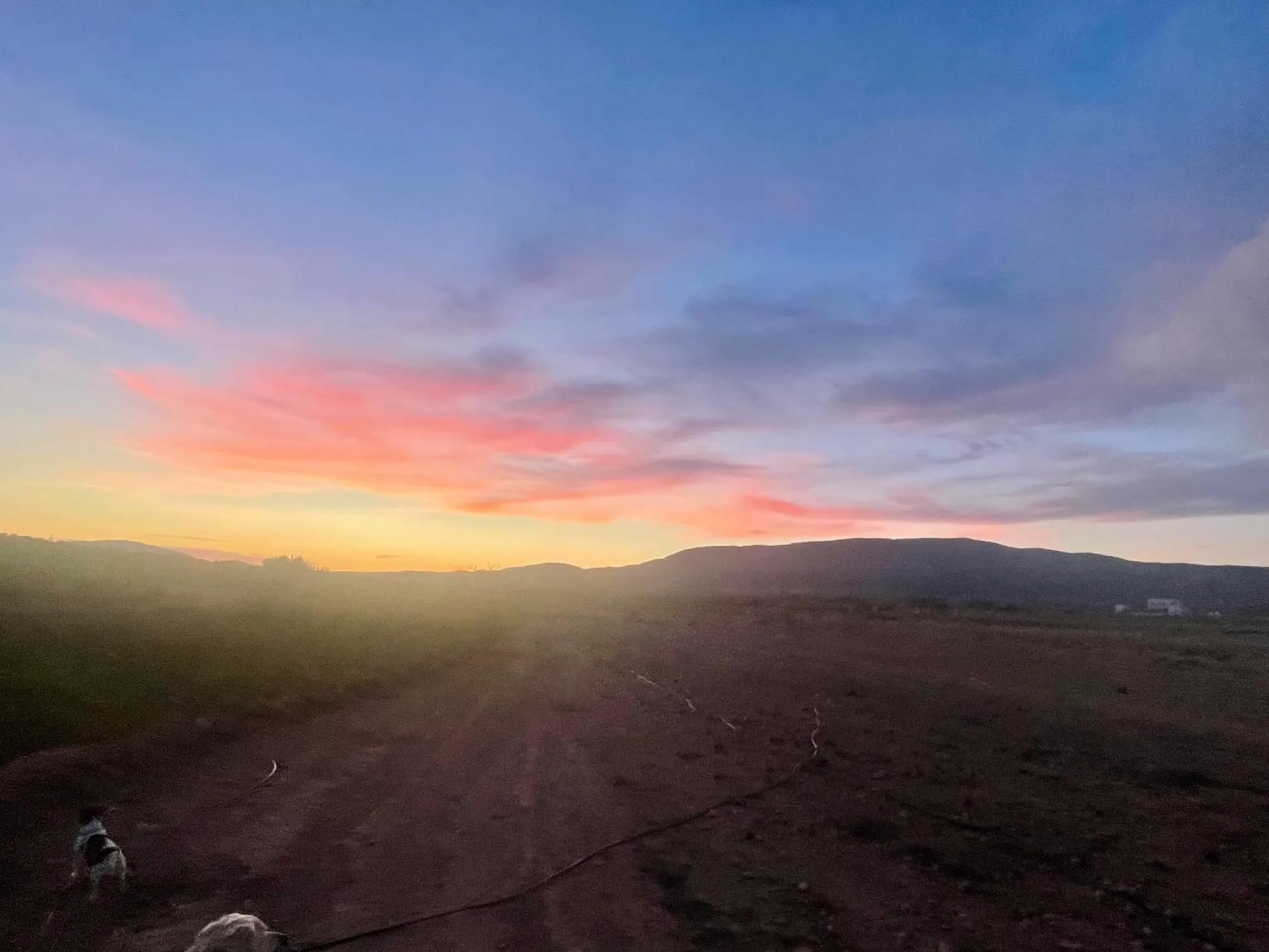View (from property/room) in Casa Rural Ubeda - B&B - Pinoso-Alicante