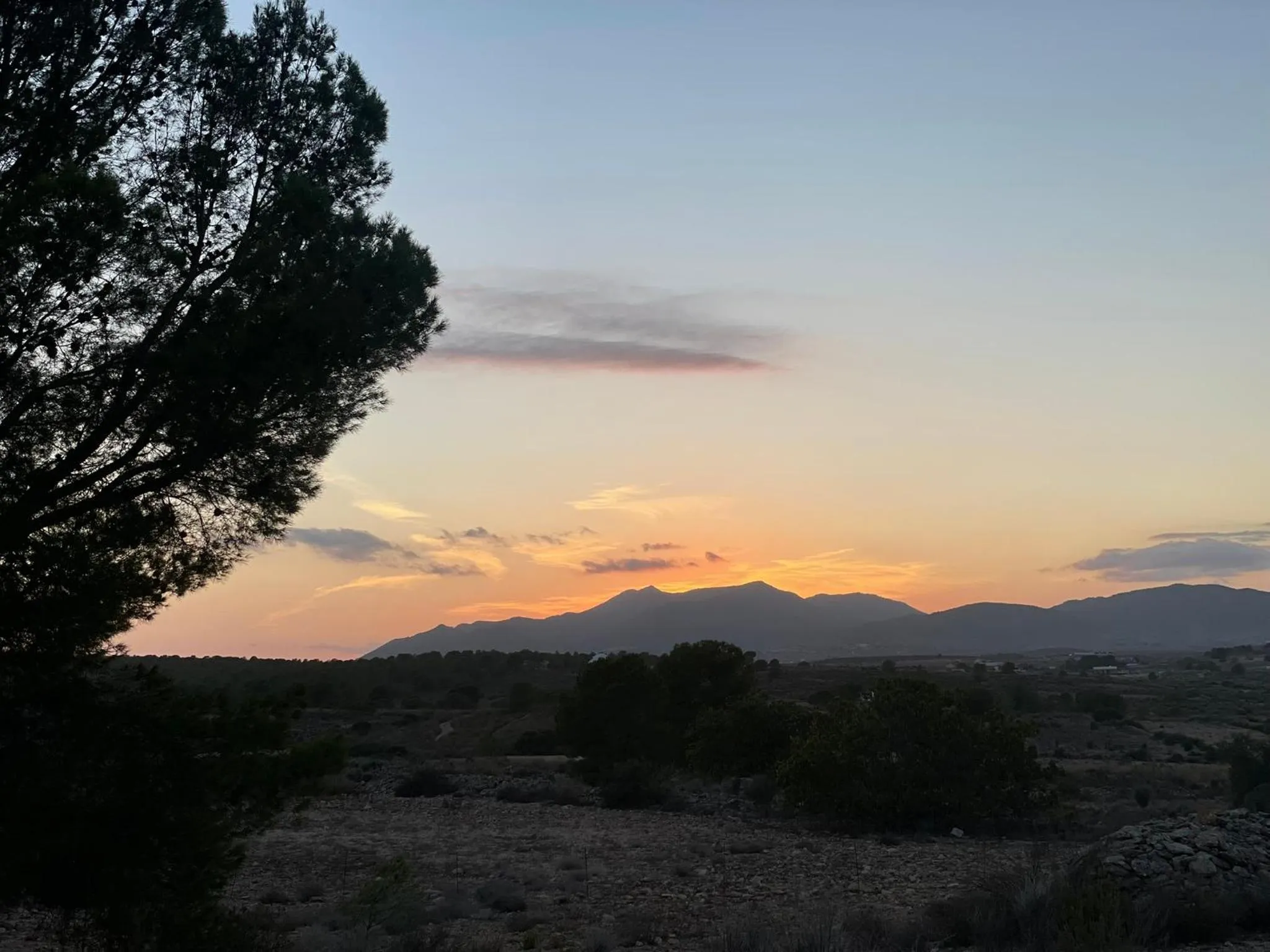 View (from property/room) in Casa Rural Ubeda - B&B - Pinoso-Alicante