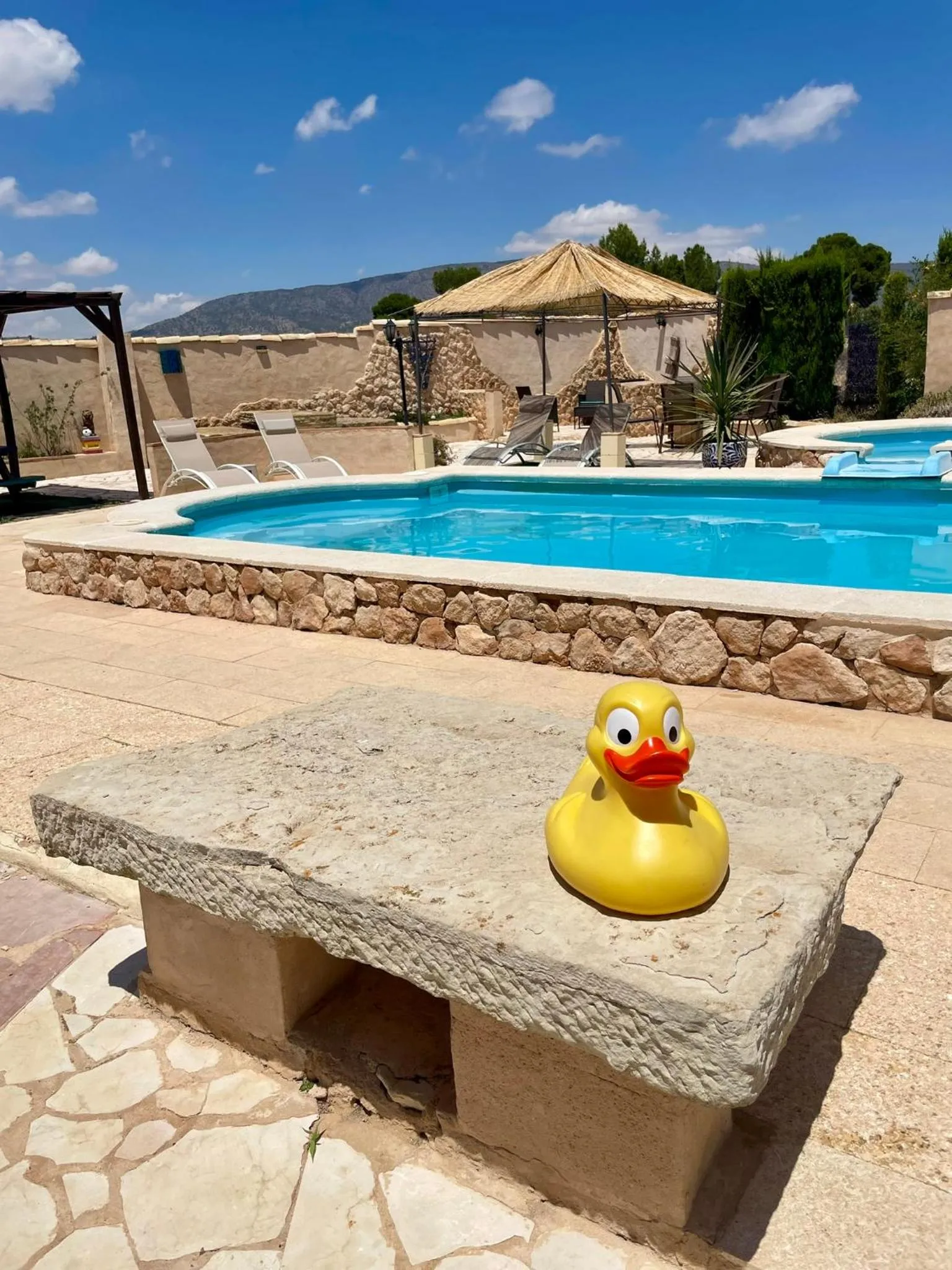 Swimming pool in Casa Rural Ubeda - B&B - Pinoso-Alicante