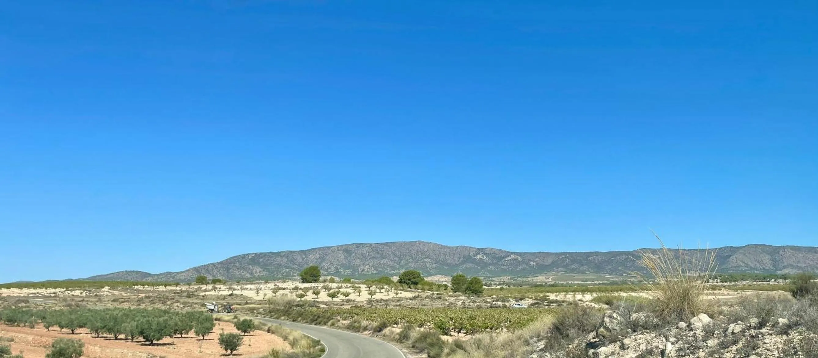 View (from property/room) in Casa Rural Ubeda - B&B - Pinoso-Alicante