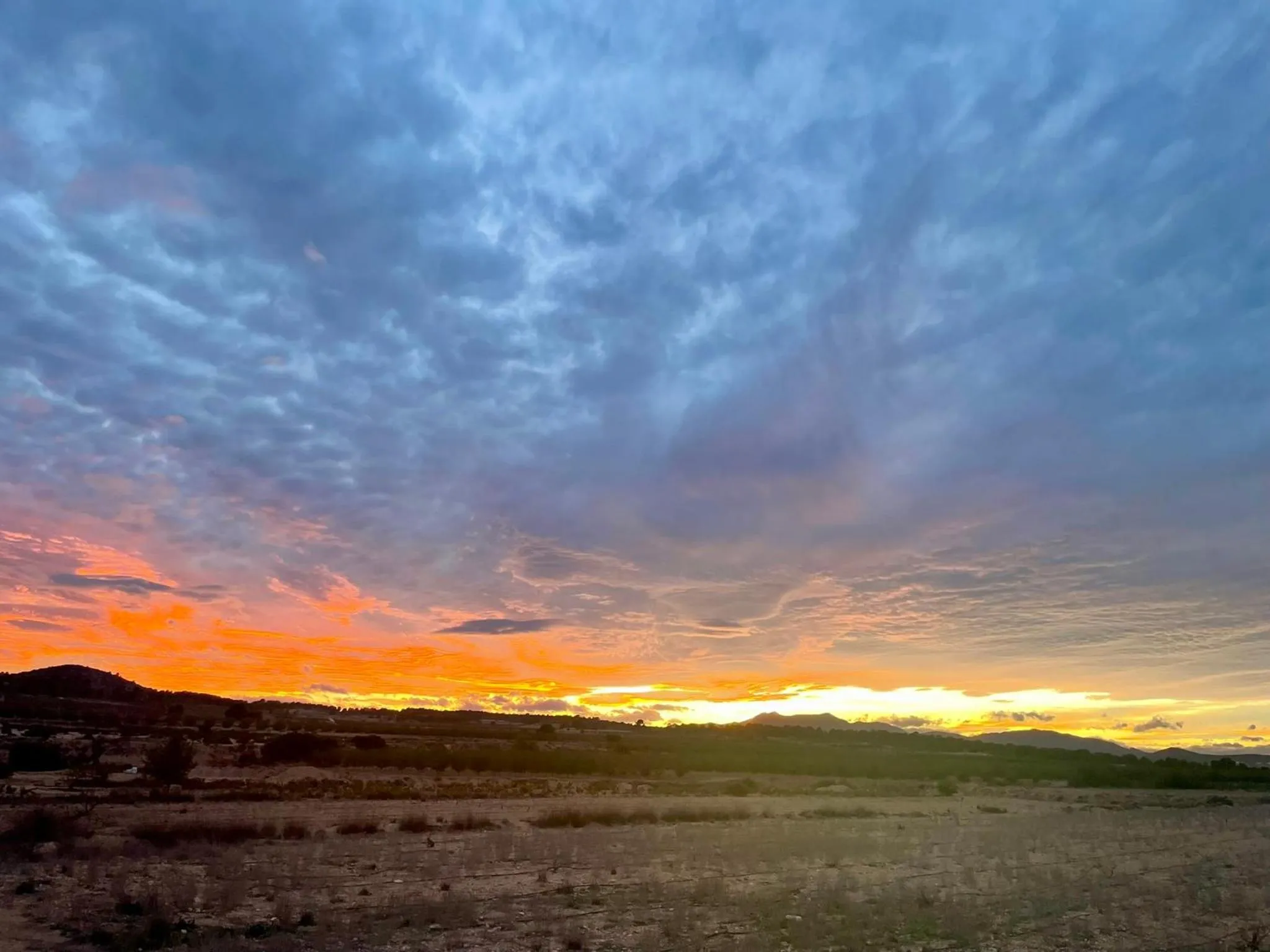 View (from property/room) in Casa Rural Ubeda - B&B - Pinoso-Alicante