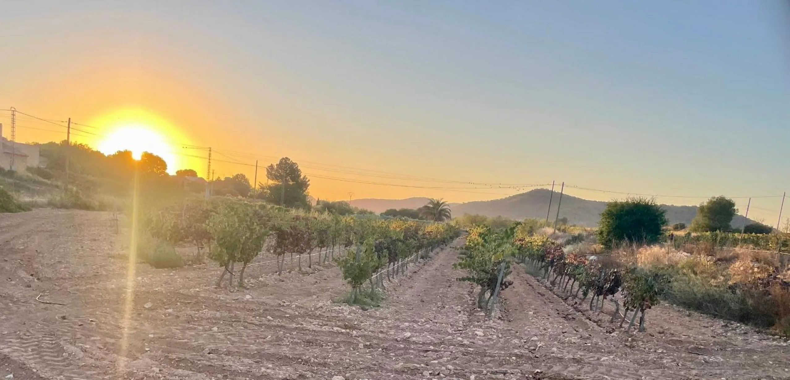 Sunrise in Casa Rural Ubeda - B&B - Pinoso-Alicante