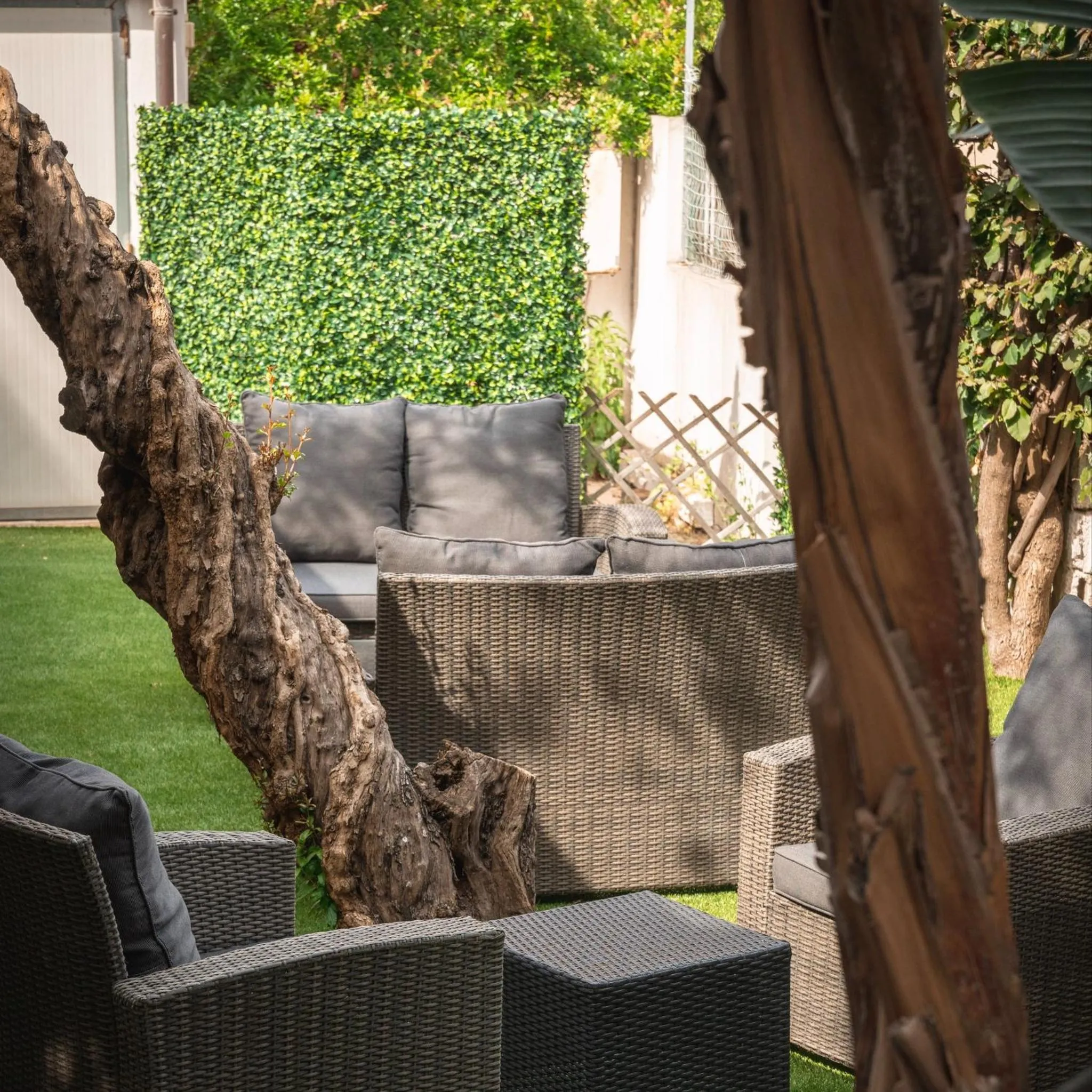 Garden in Hotel Domomea