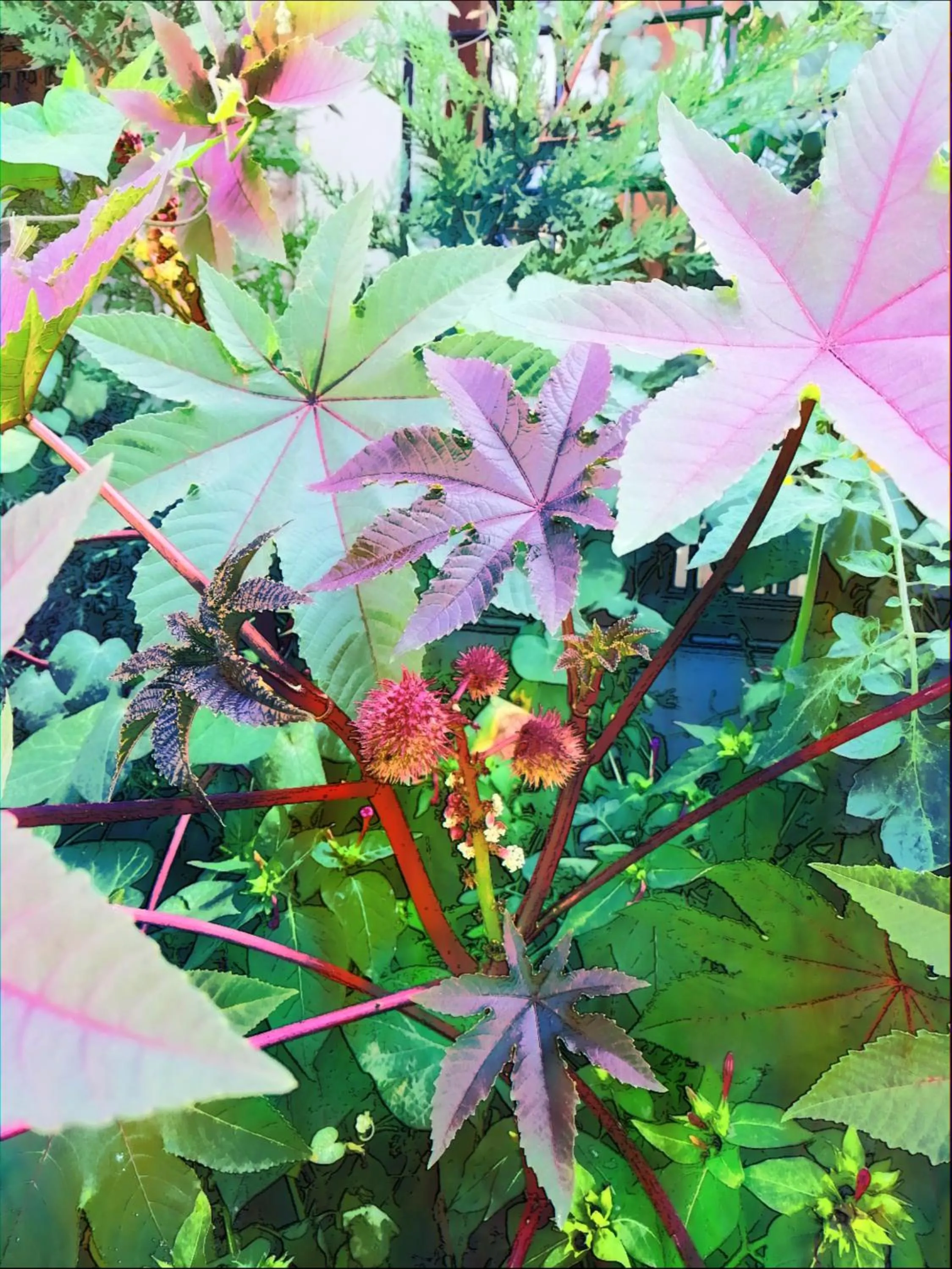 Garden in Guzide Cave Hotel