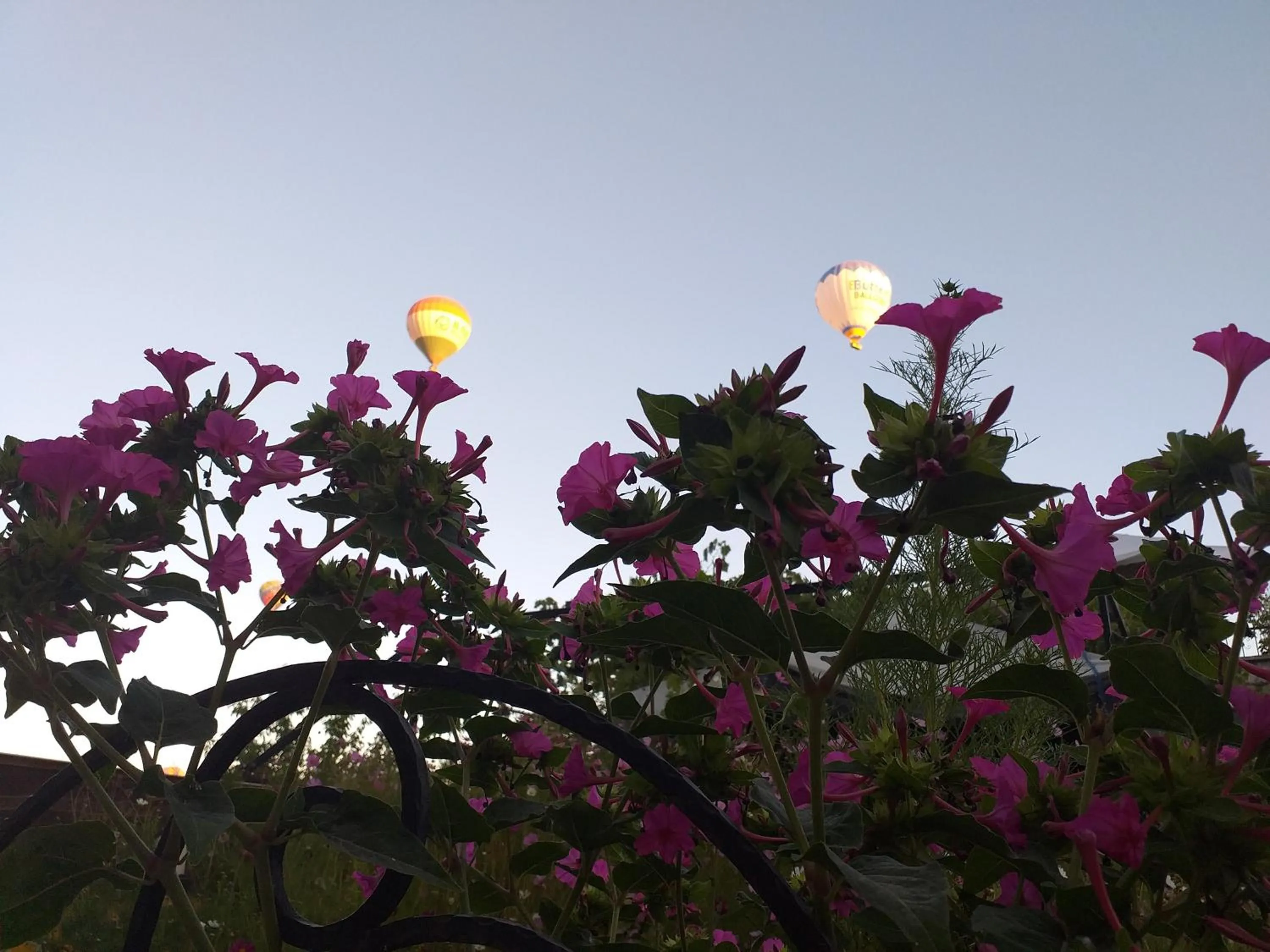 Garden in Guzide Cave Hotel