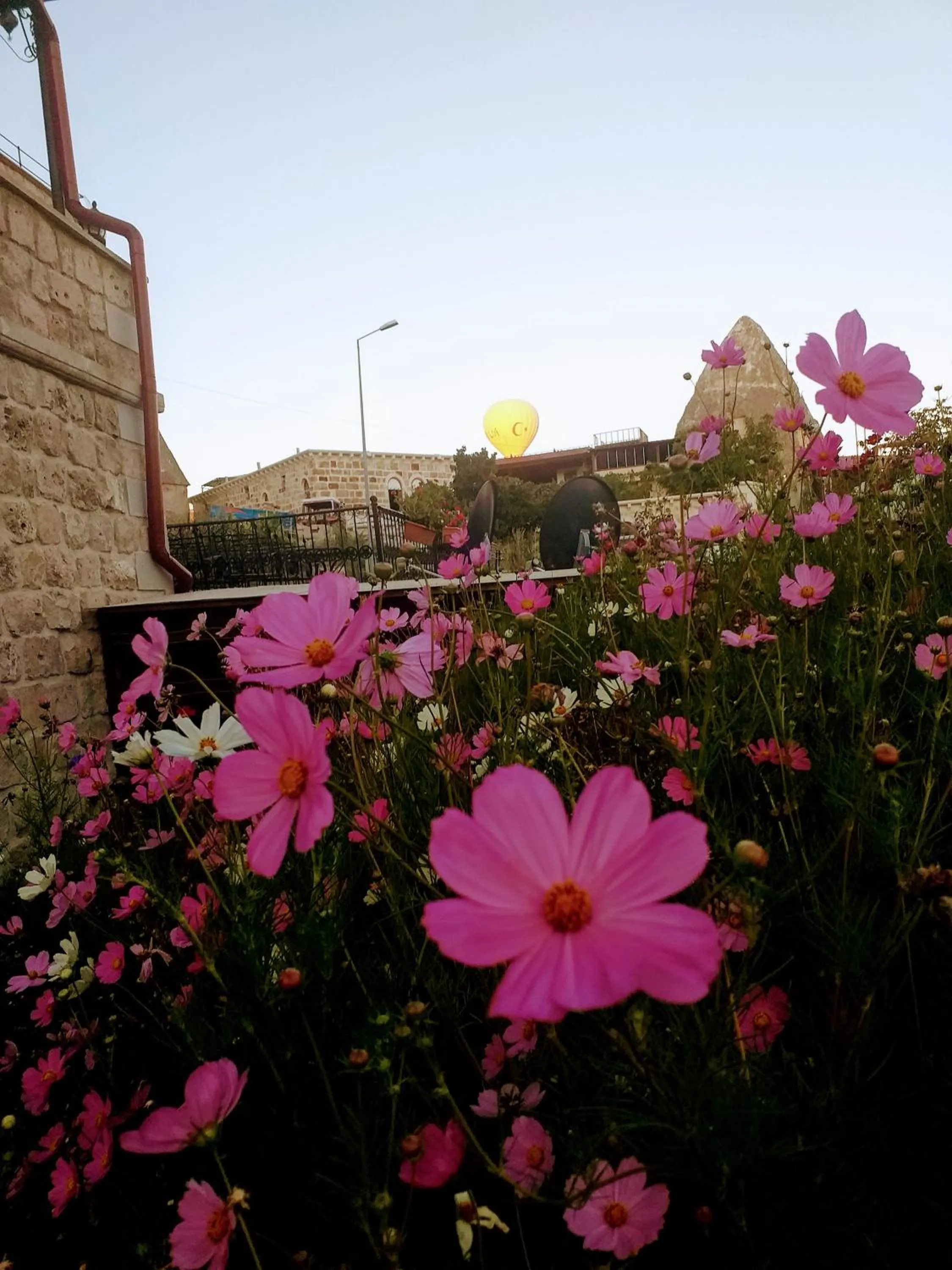 Garden in Guzide Cave Hotel