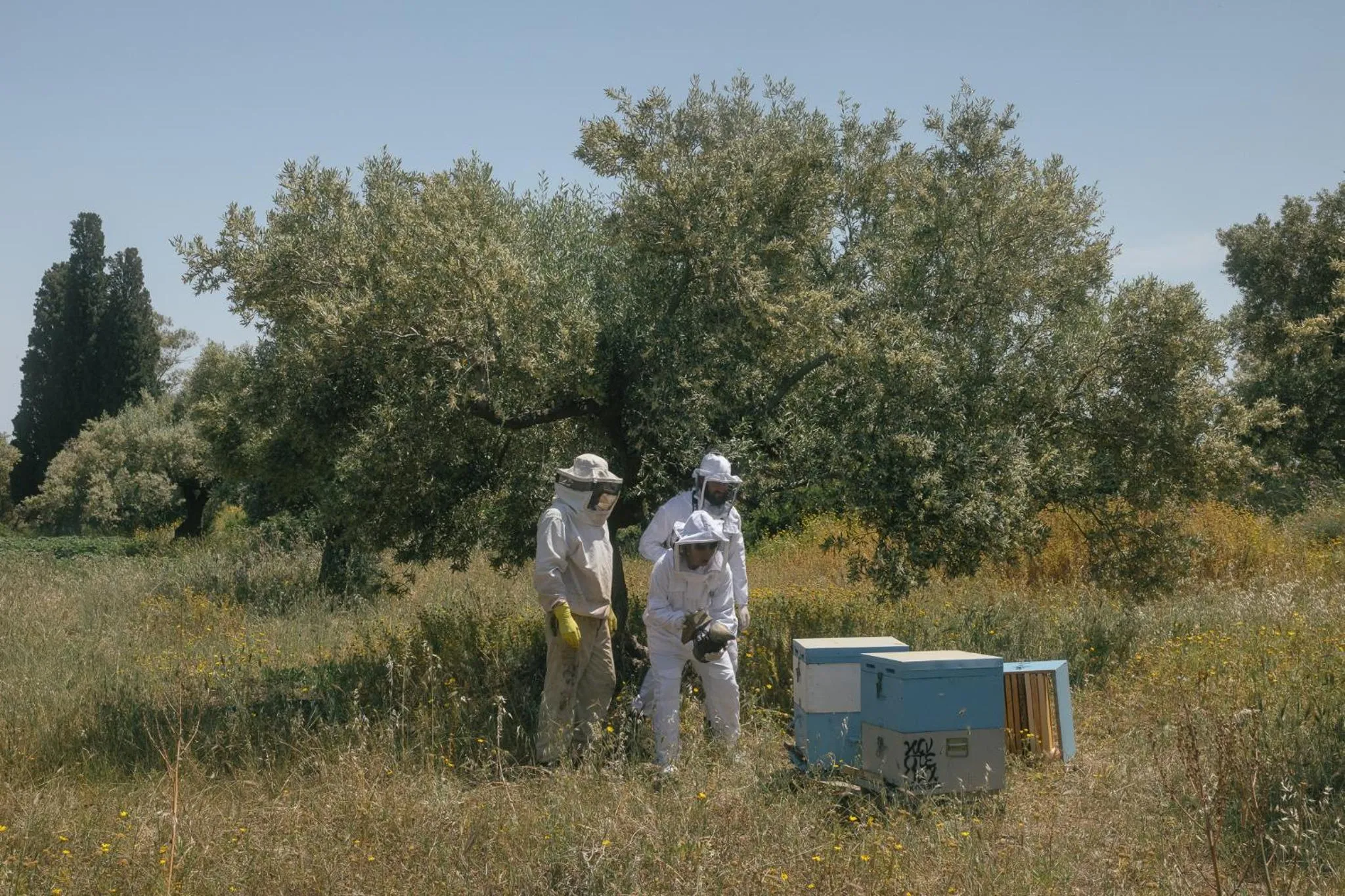 Activities in Kinsterna Hotel