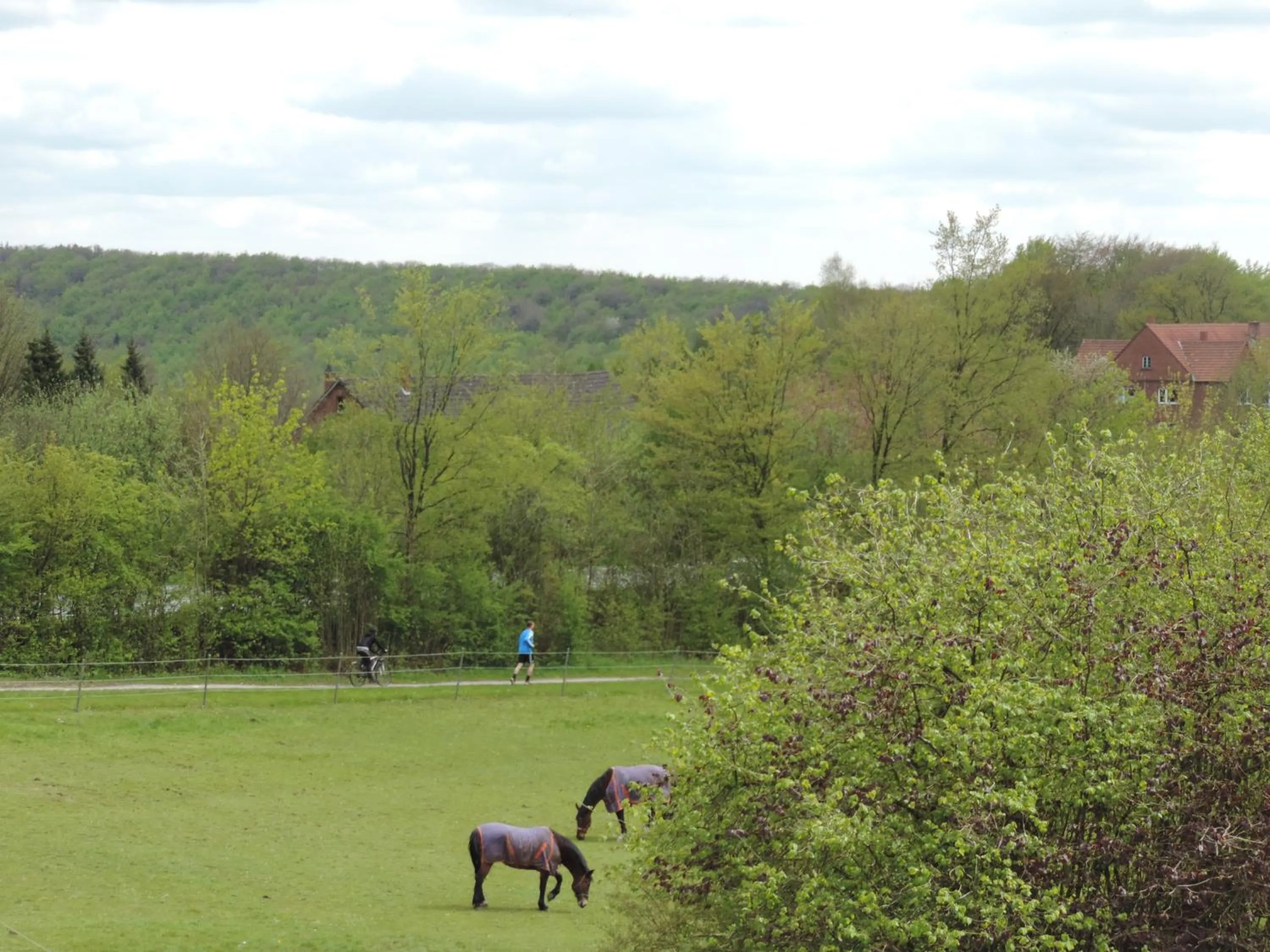 View (from property/room) in Gasthaus zum Dörenberg