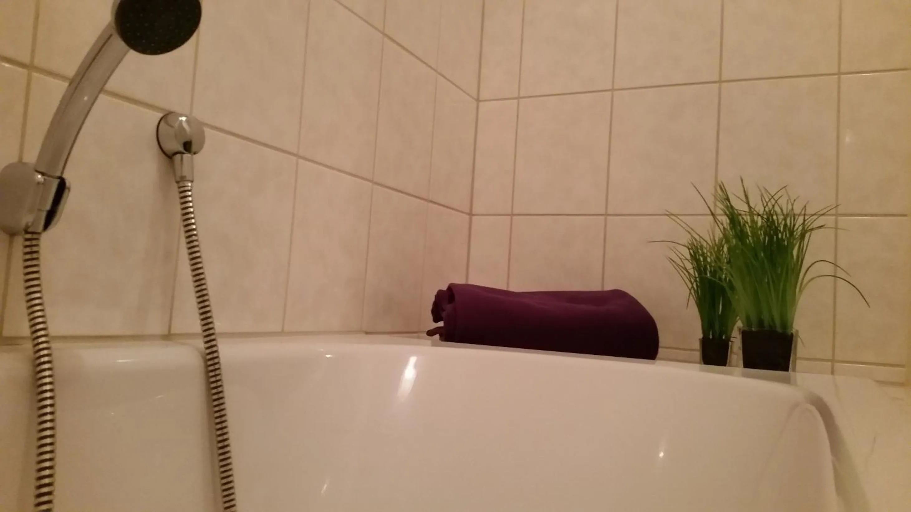 Hot Tub in Gasthaus zum Dörenberg