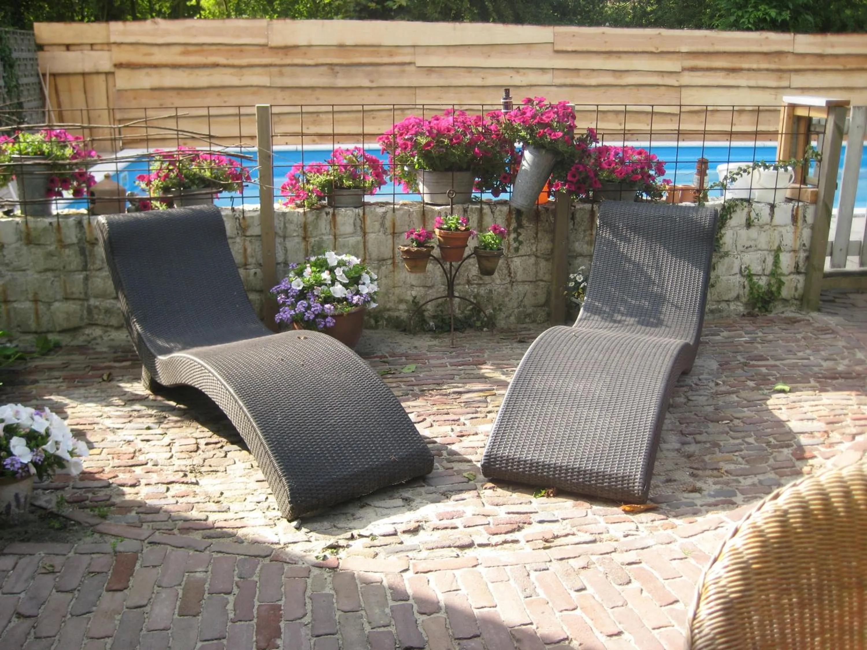 Garden in Bed & Breakfast Zeeland