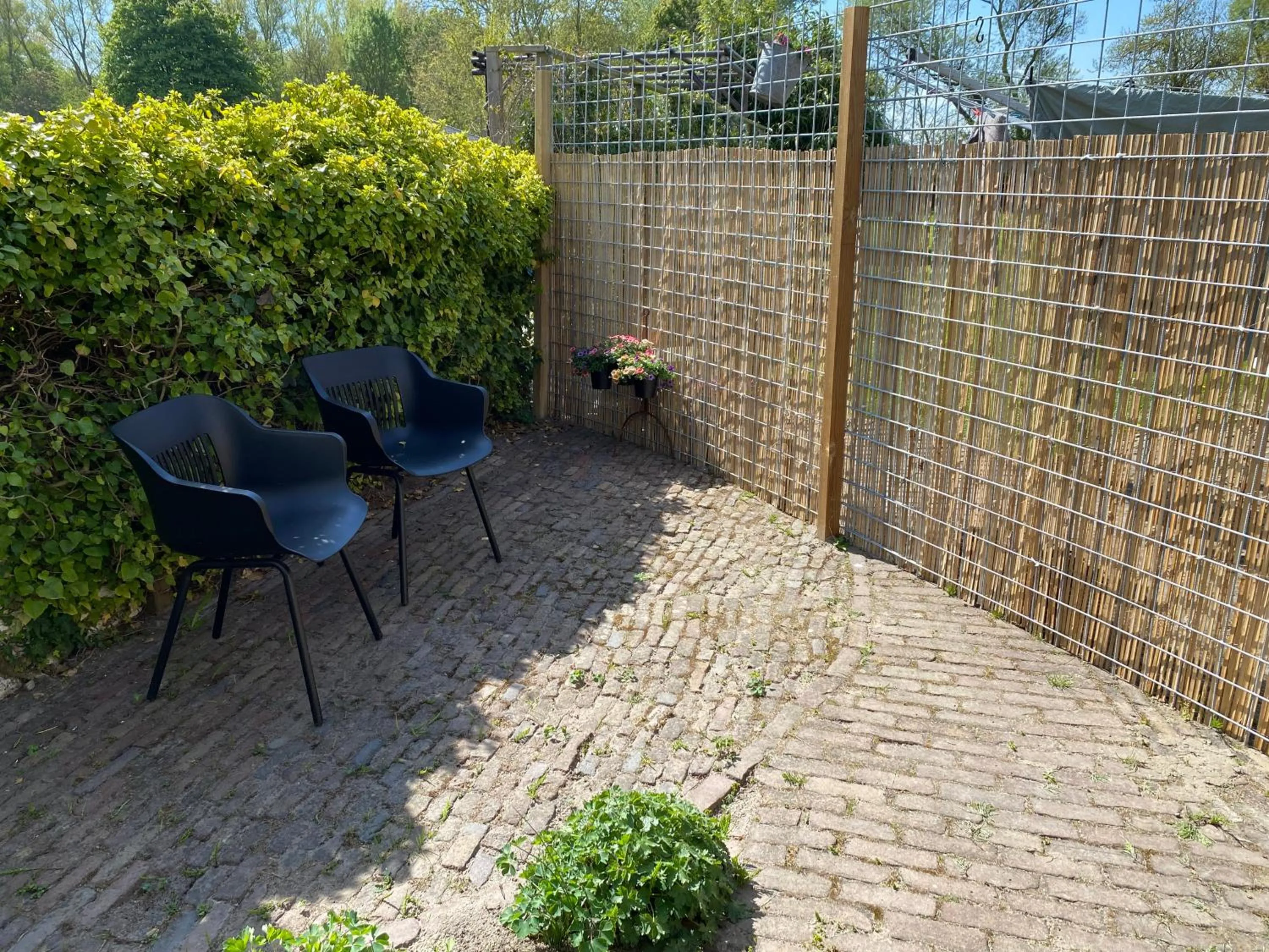 Garden in Bed & Breakfast Zeeland