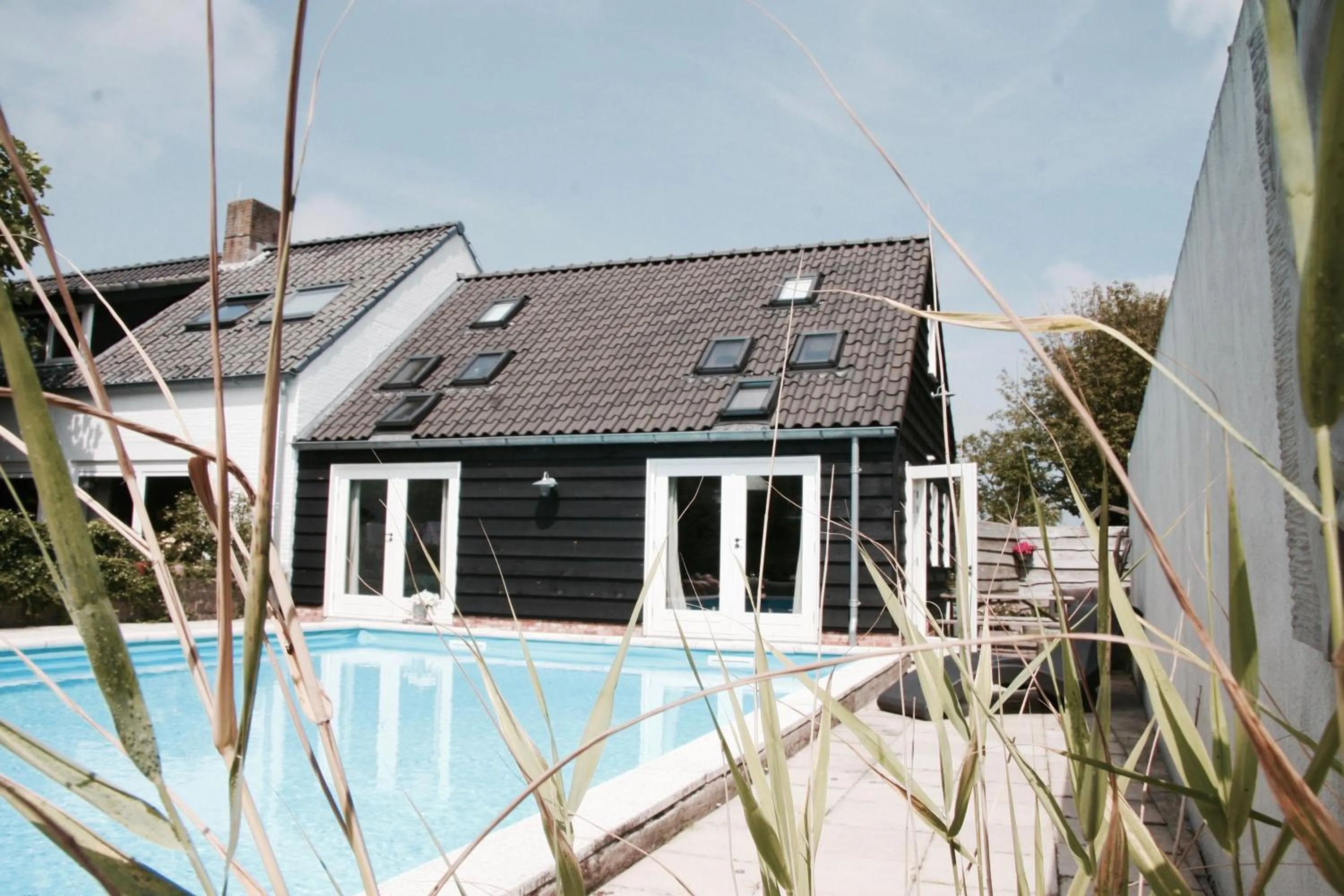 Summer in Bed & Breakfast Zeeland