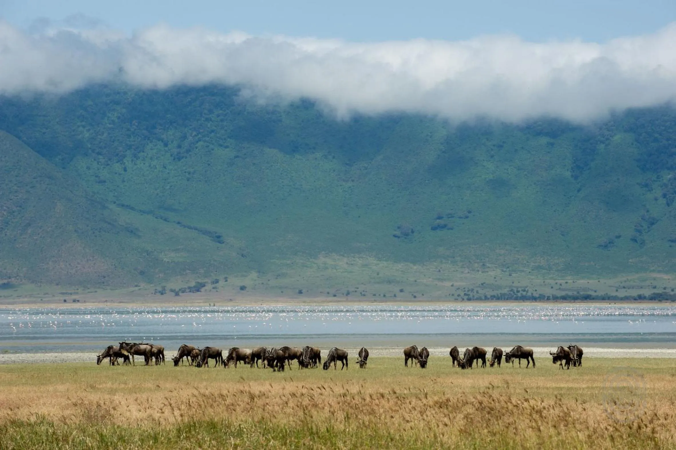 Activities in Ngorongoro Serena Safari Lodge