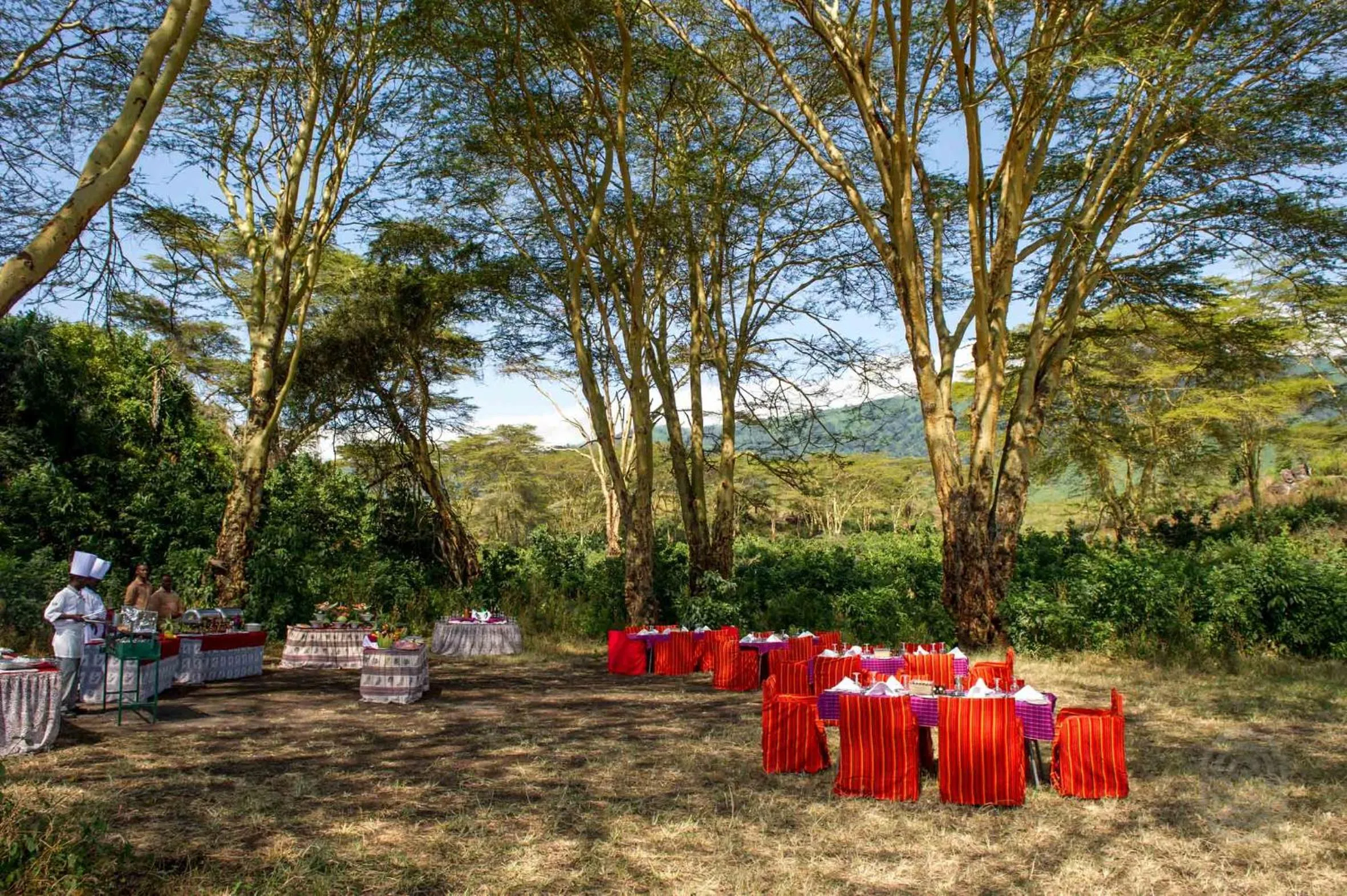 Activities in Ngorongoro Serena Safari Lodge
