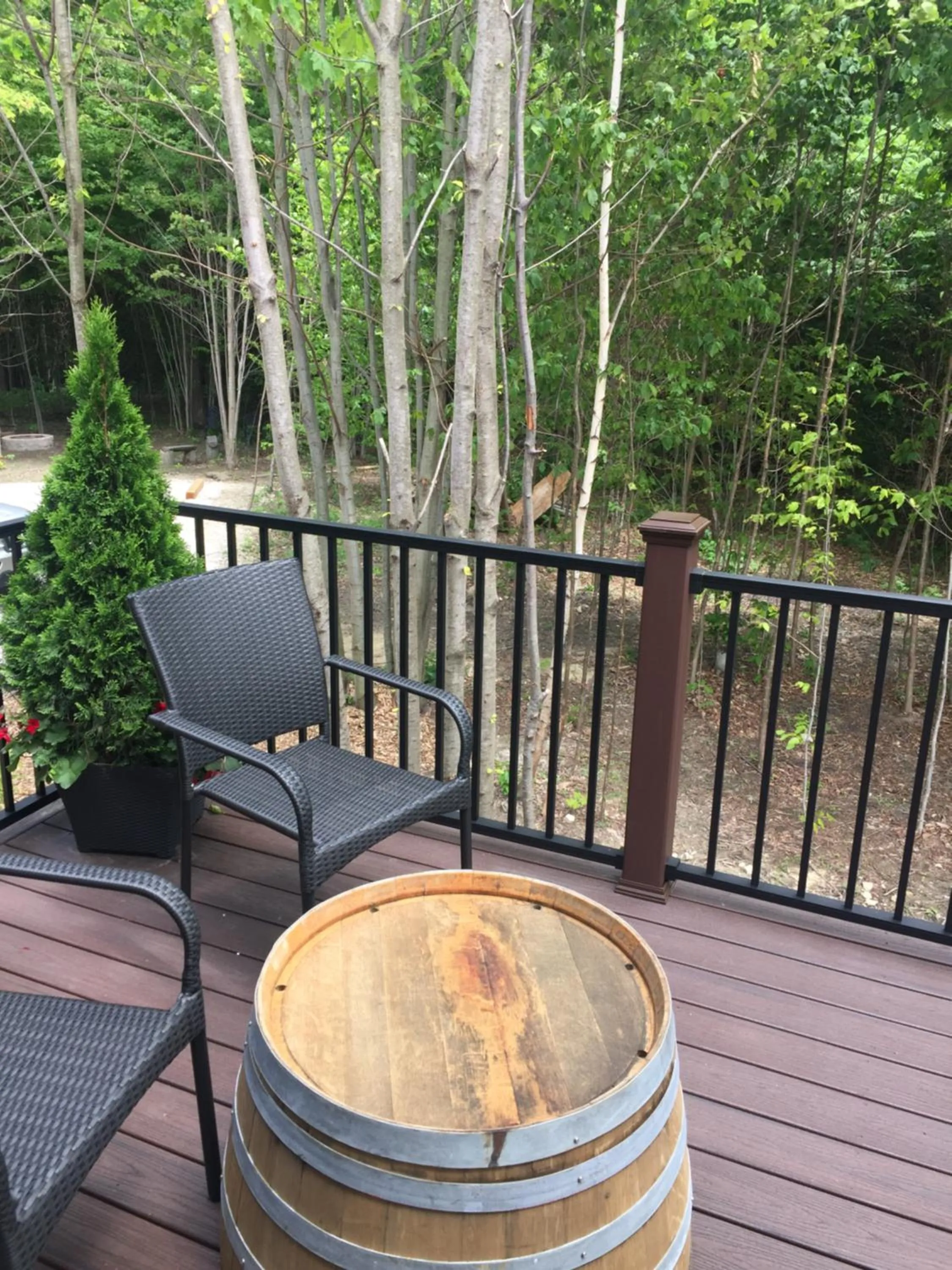 Other in Vineyard Woods