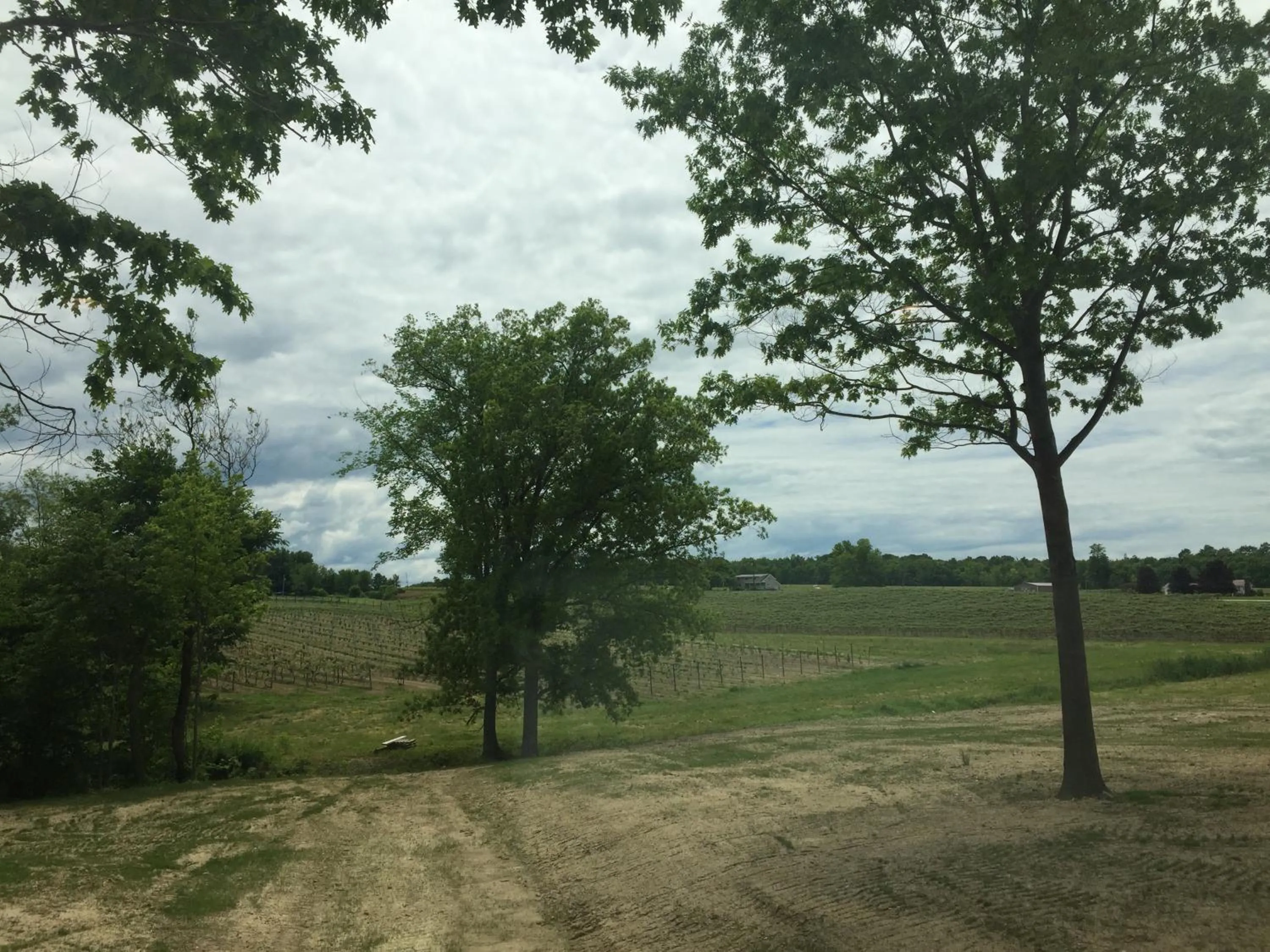 View (from property/room) in Vineyard Woods