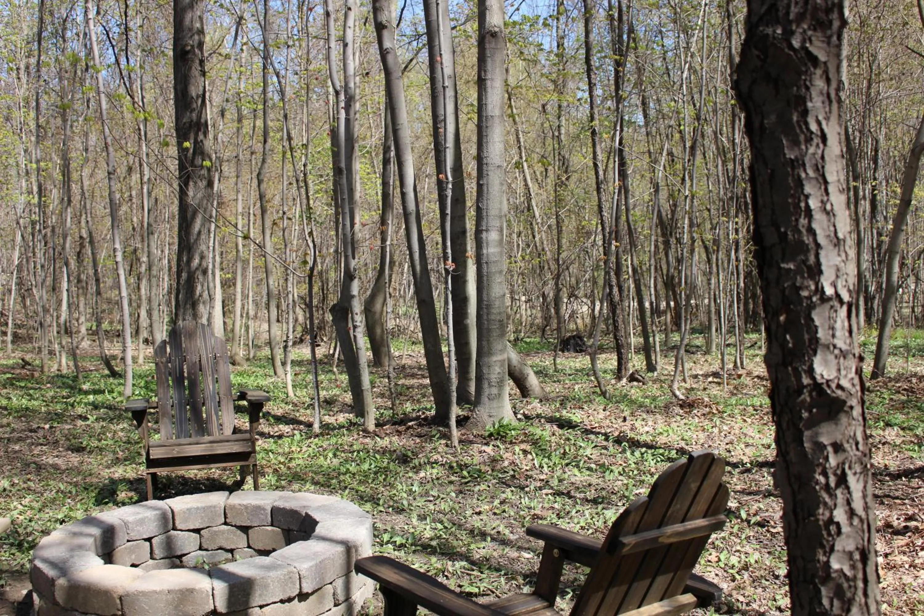 Area and facilities in Vineyard Woods