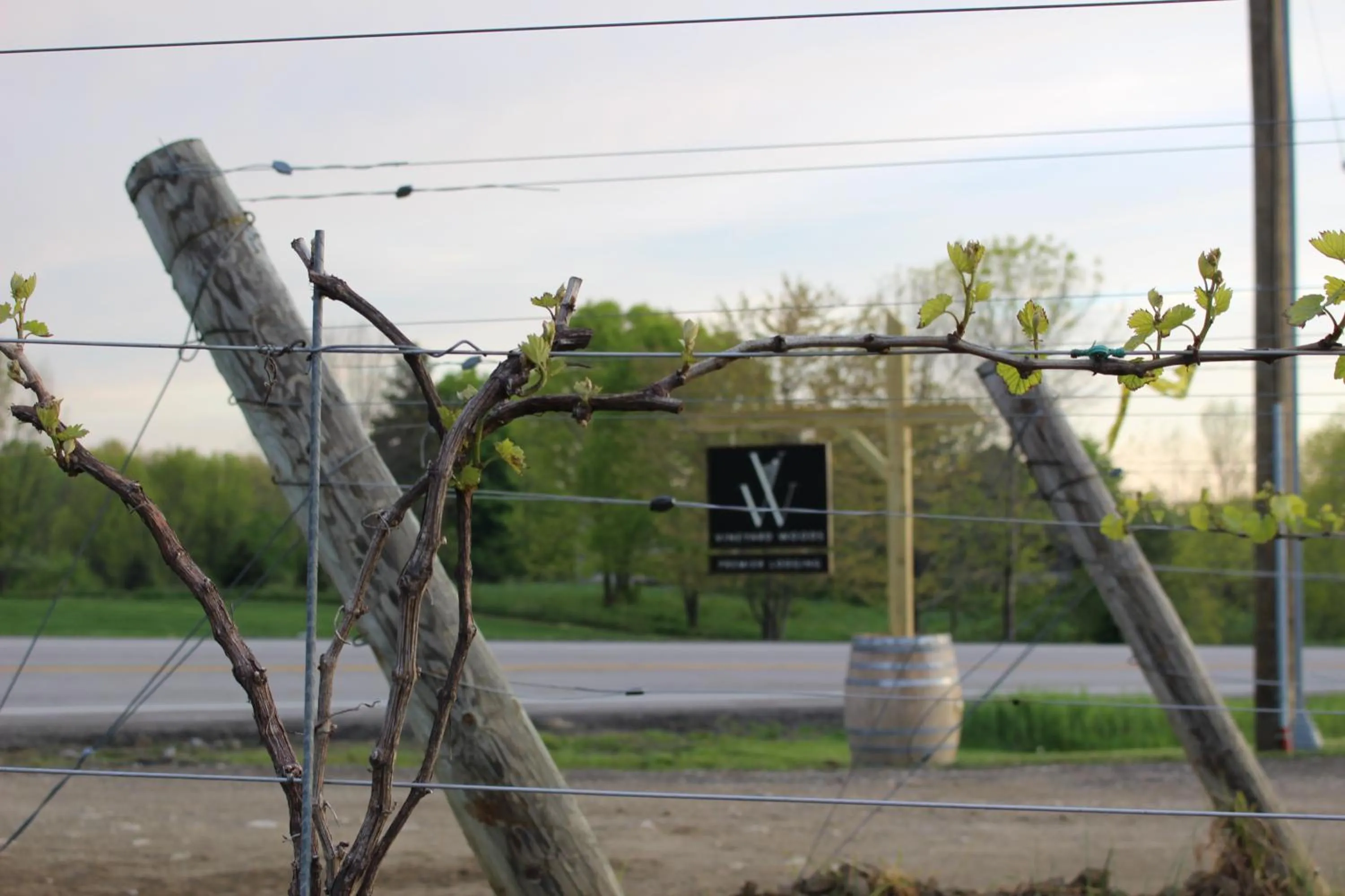 Decorative detail in Vineyard Woods