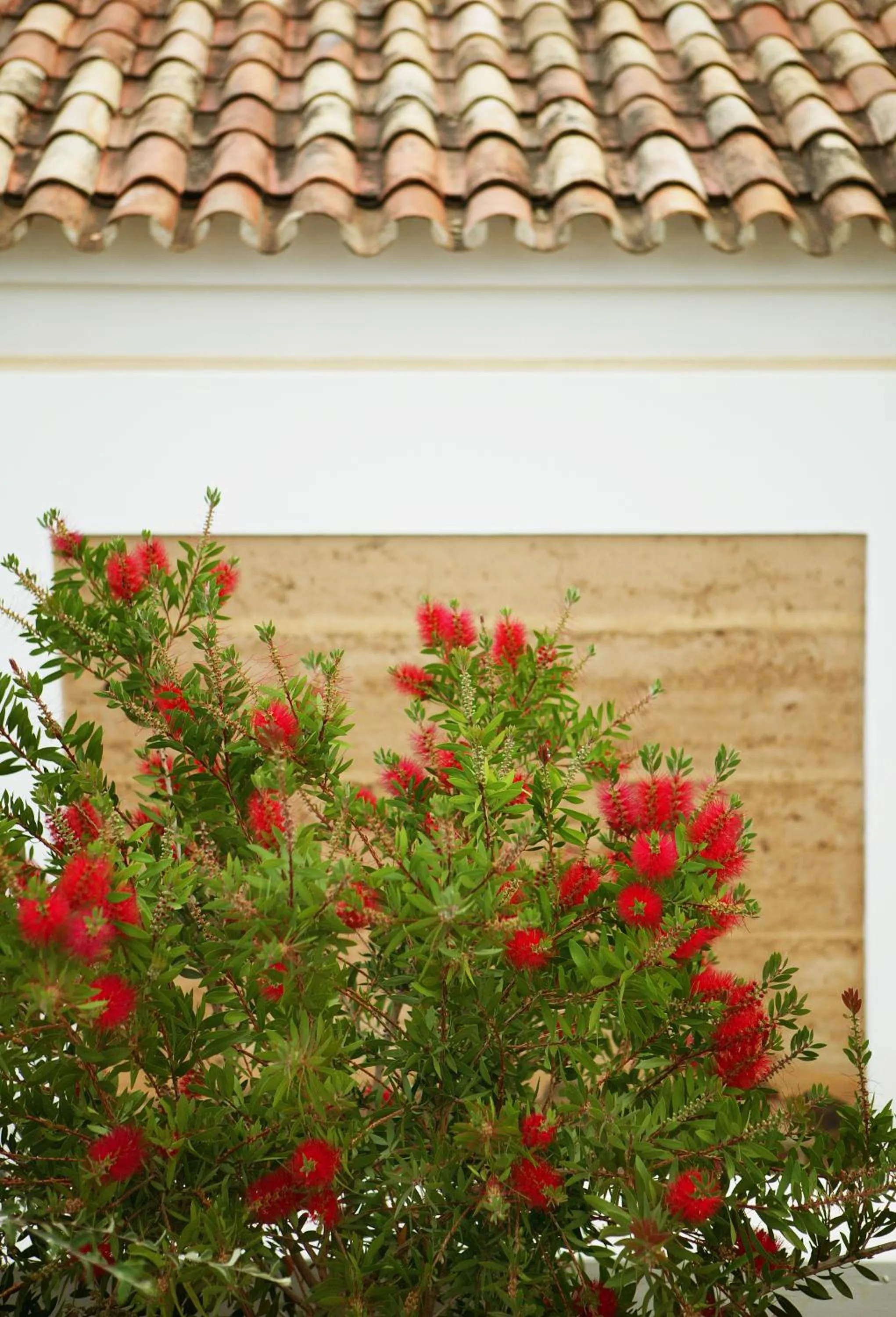Garden view in Monte Da Vilarinha