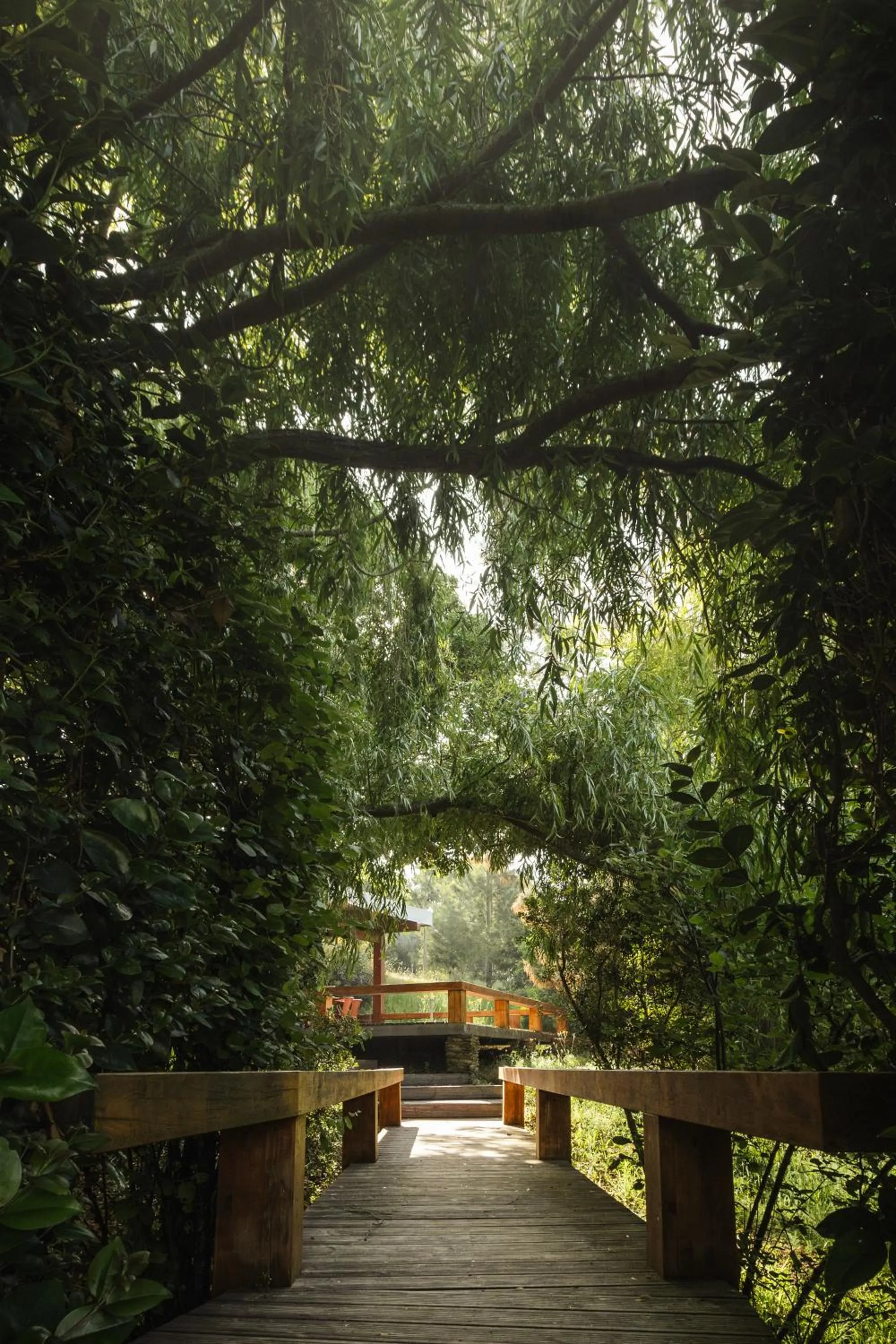 Day in Monte Da Vilarinha