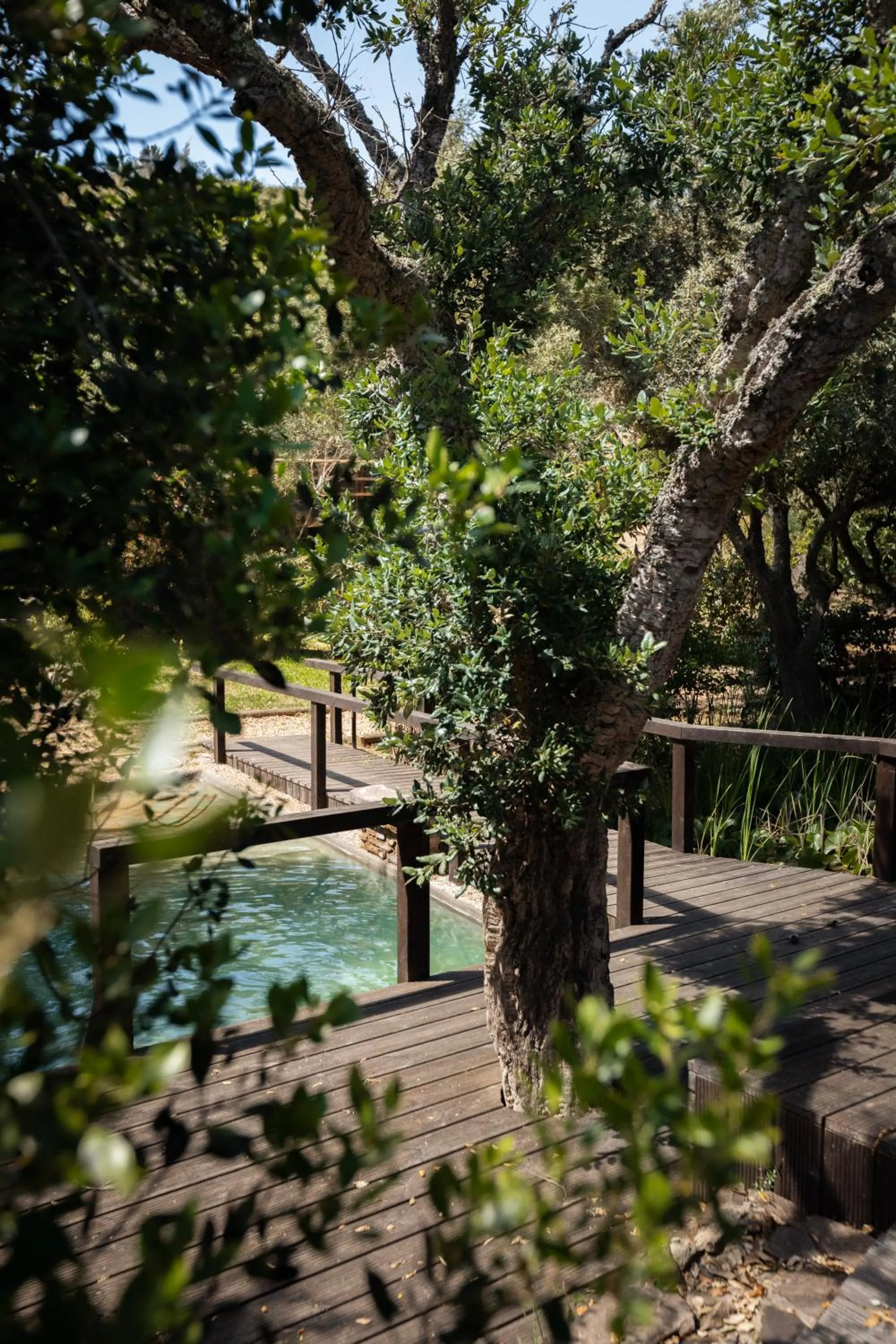 Swimming pool in Monte Da Vilarinha