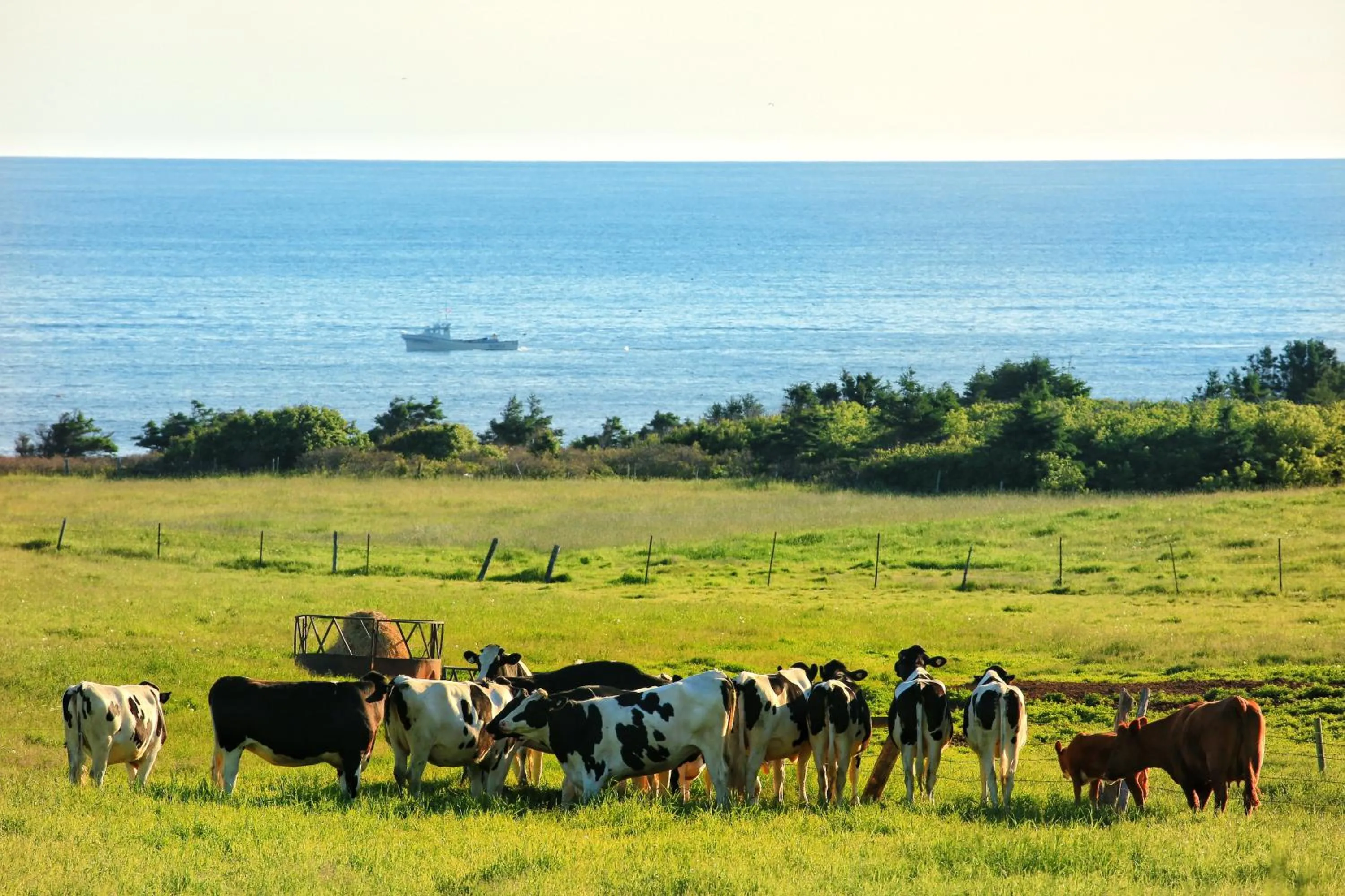 Cavendish Country Inn & Cottages